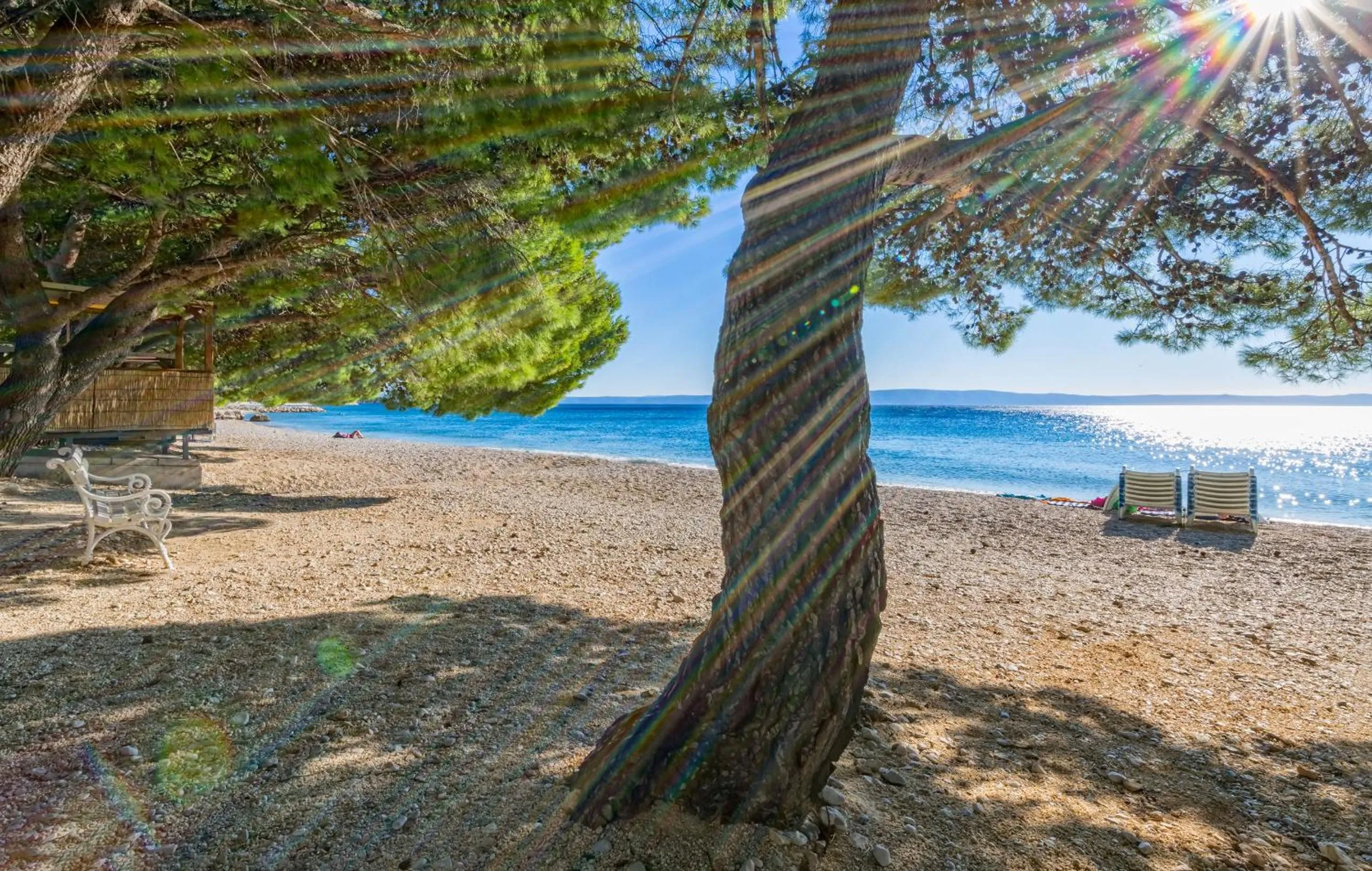 Natural landscape in Bluesun Hotel Alga