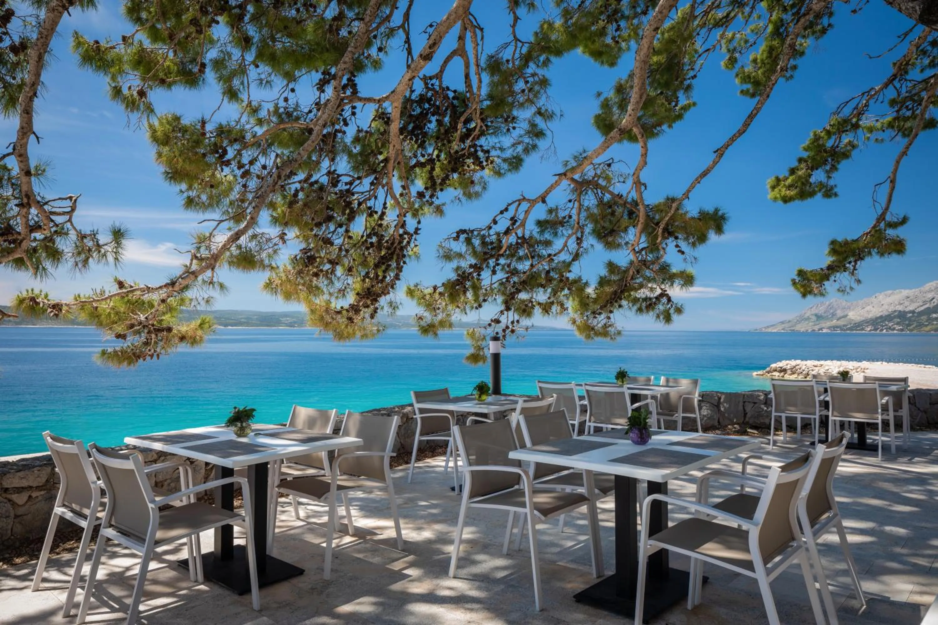 Restaurant/places to eat in Bluesun hotel Berulia