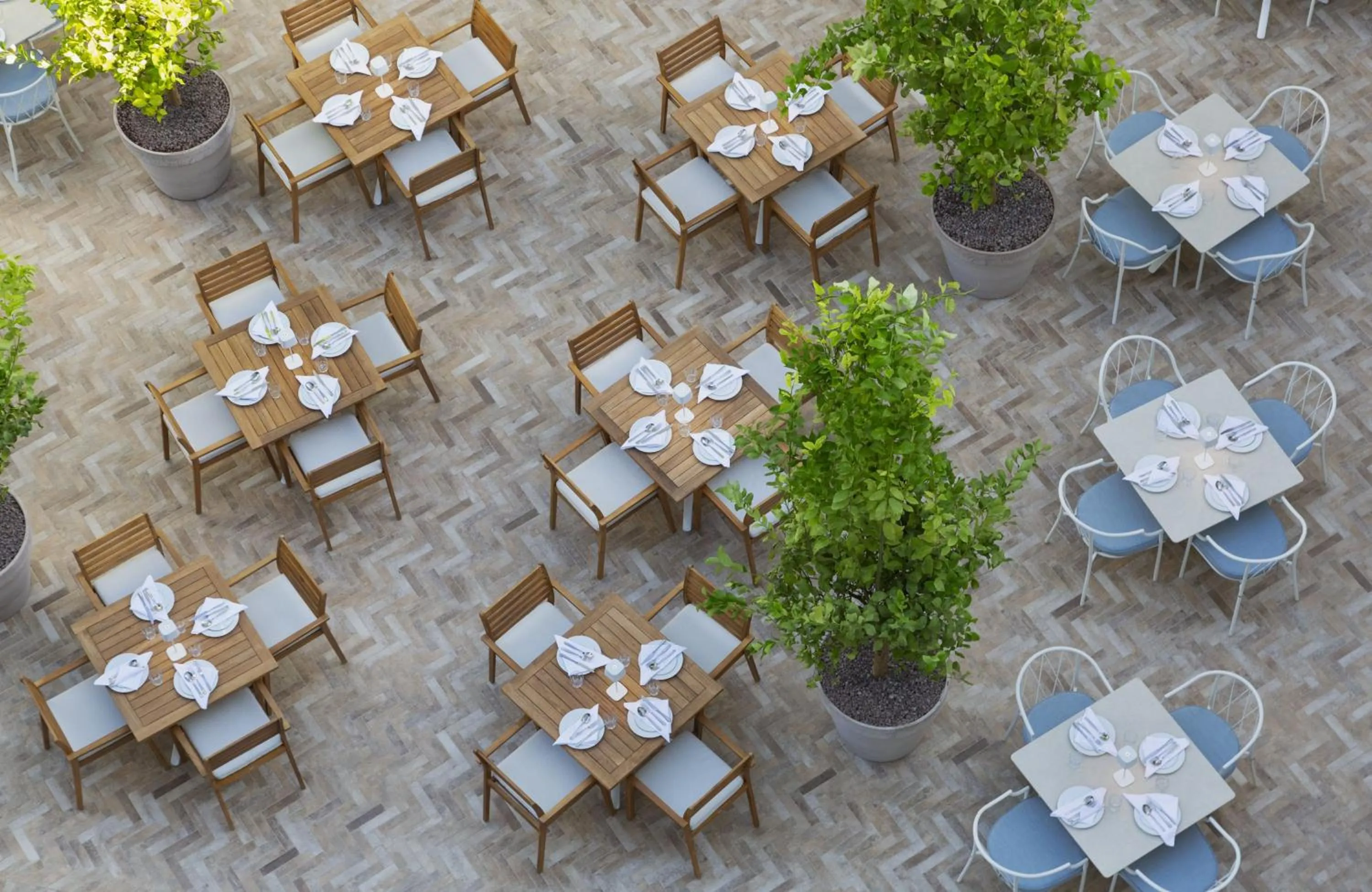 Restaurant/places to eat in Bluesun Hotel Marina