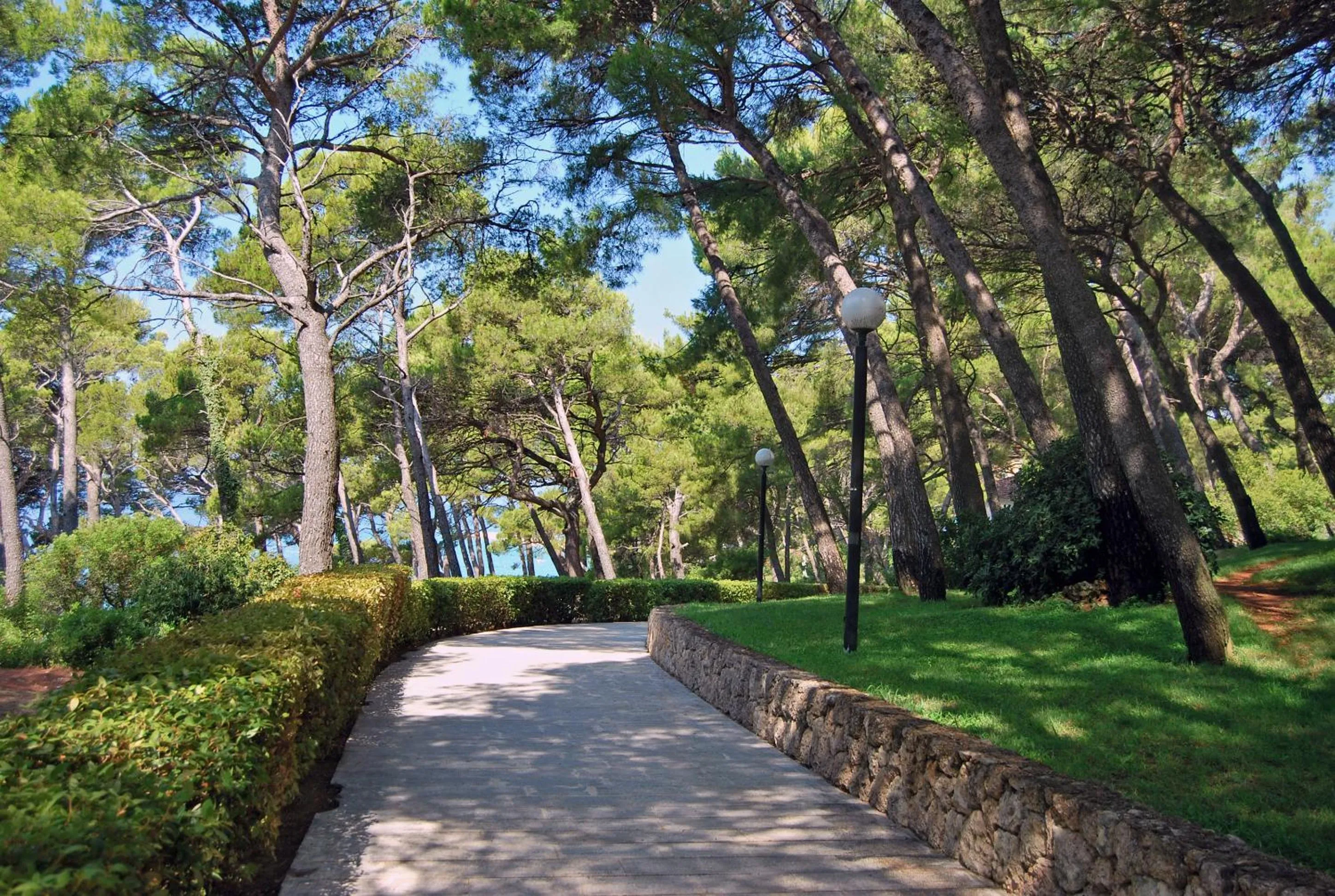 Natural landscape in Bluesun Hotel Marina