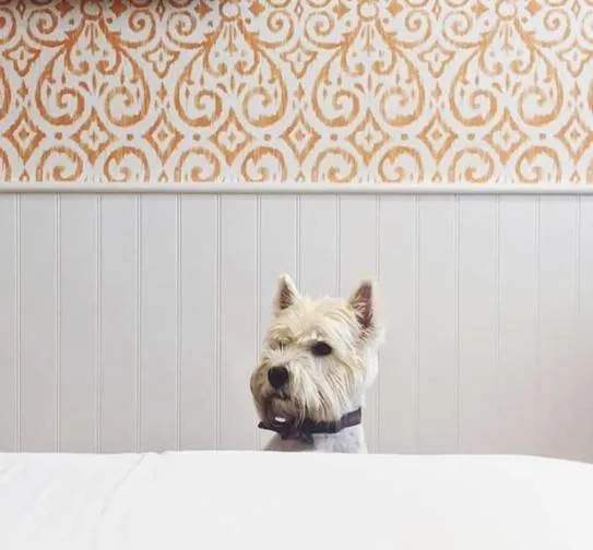 The Swan Hotel and Spa