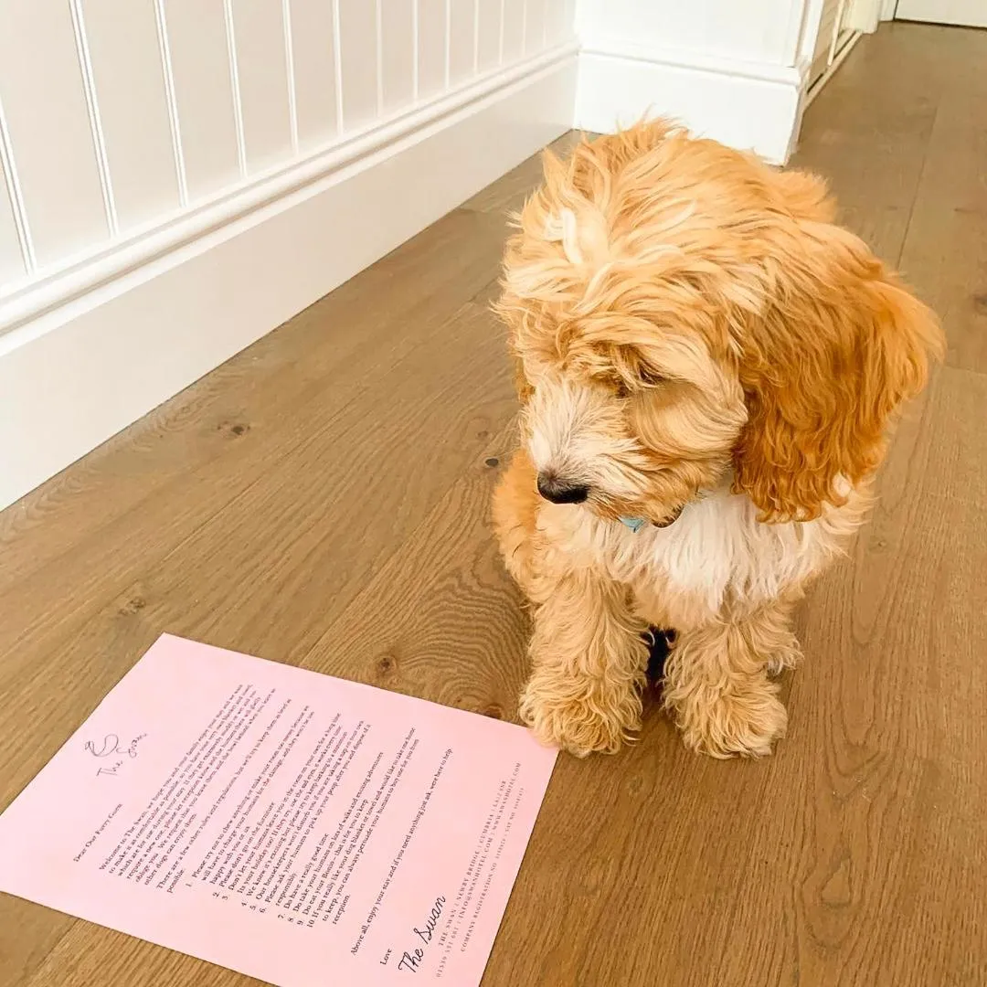 The Swan Hotel and Spa