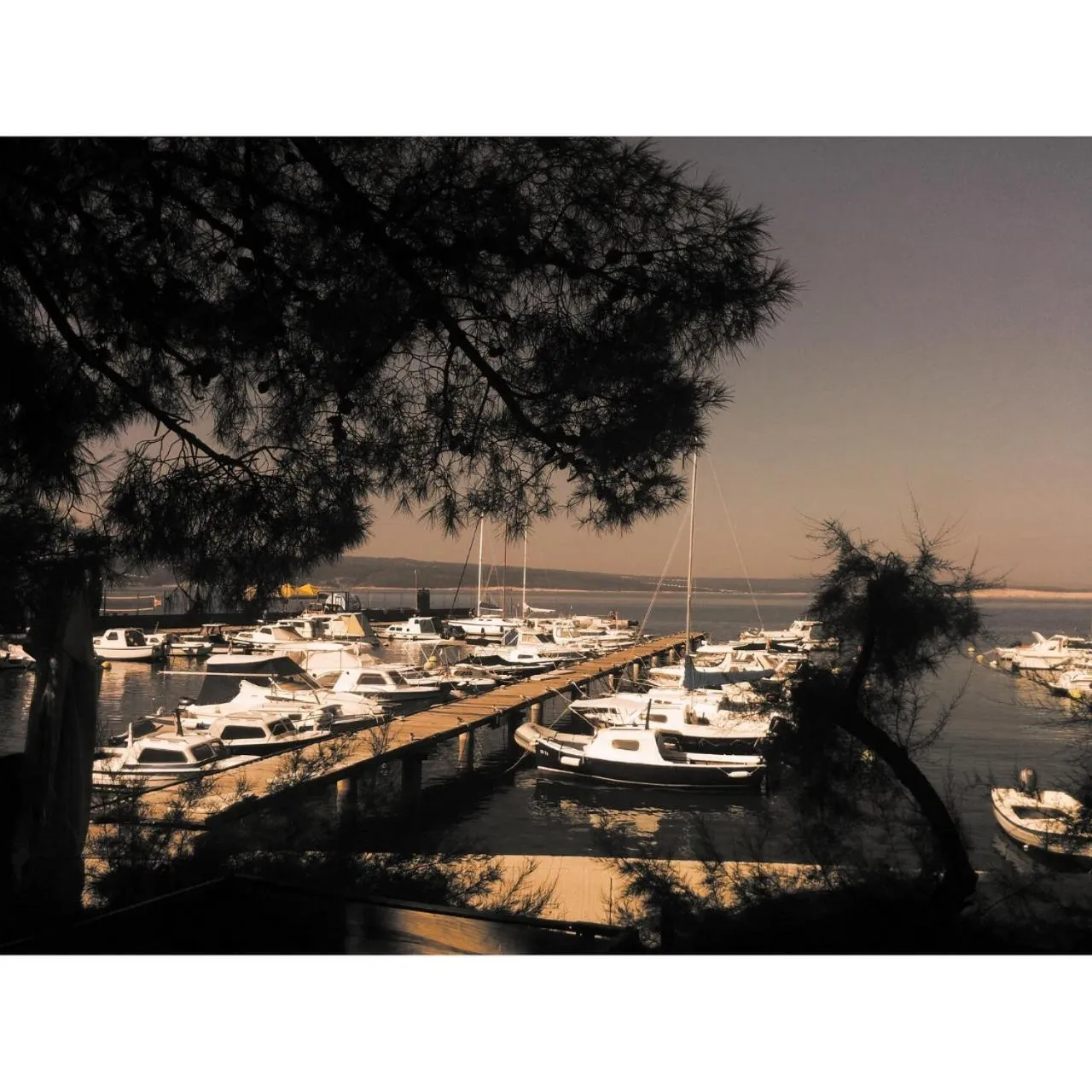 Natural landscape in Hotel Abalone