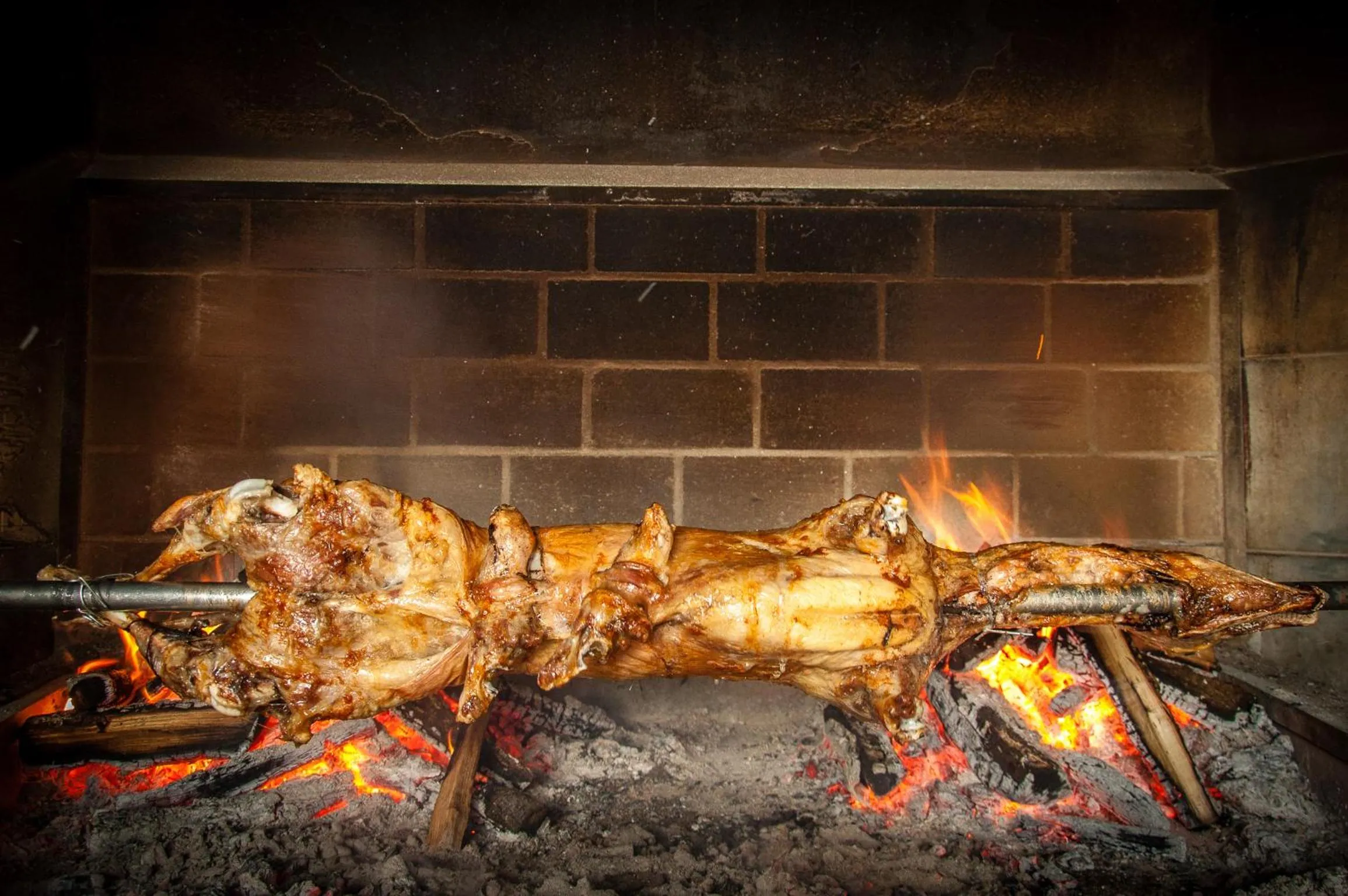 Food in Guest Accomodation Tamaris