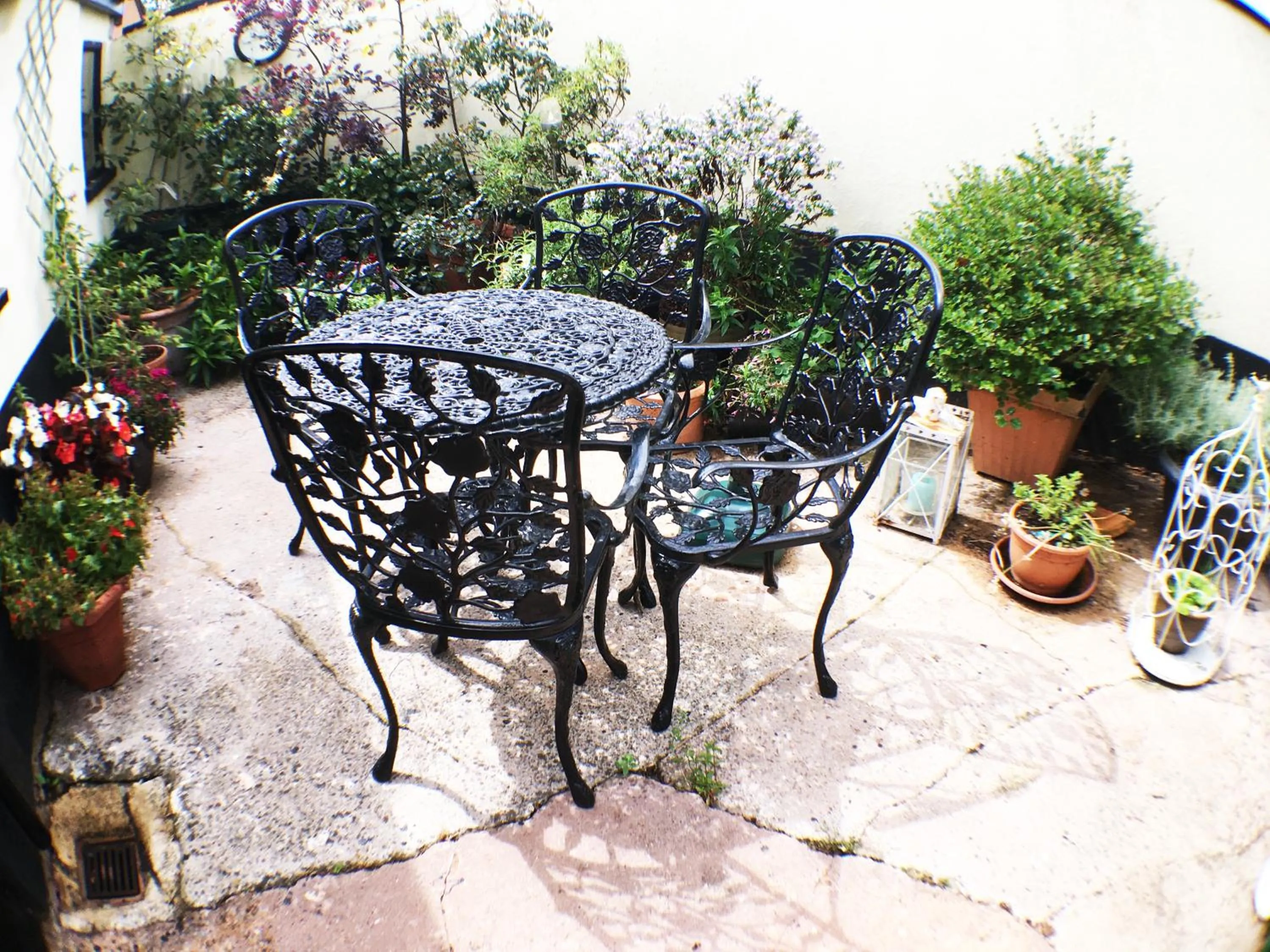 Garden in Hillside Bed and Breakfast