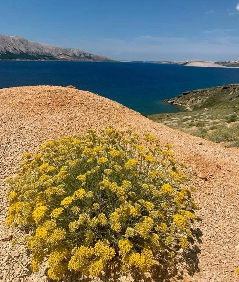 Day in Hotel Belveder