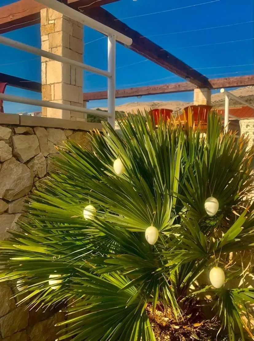 Garden in Hotel Belveder