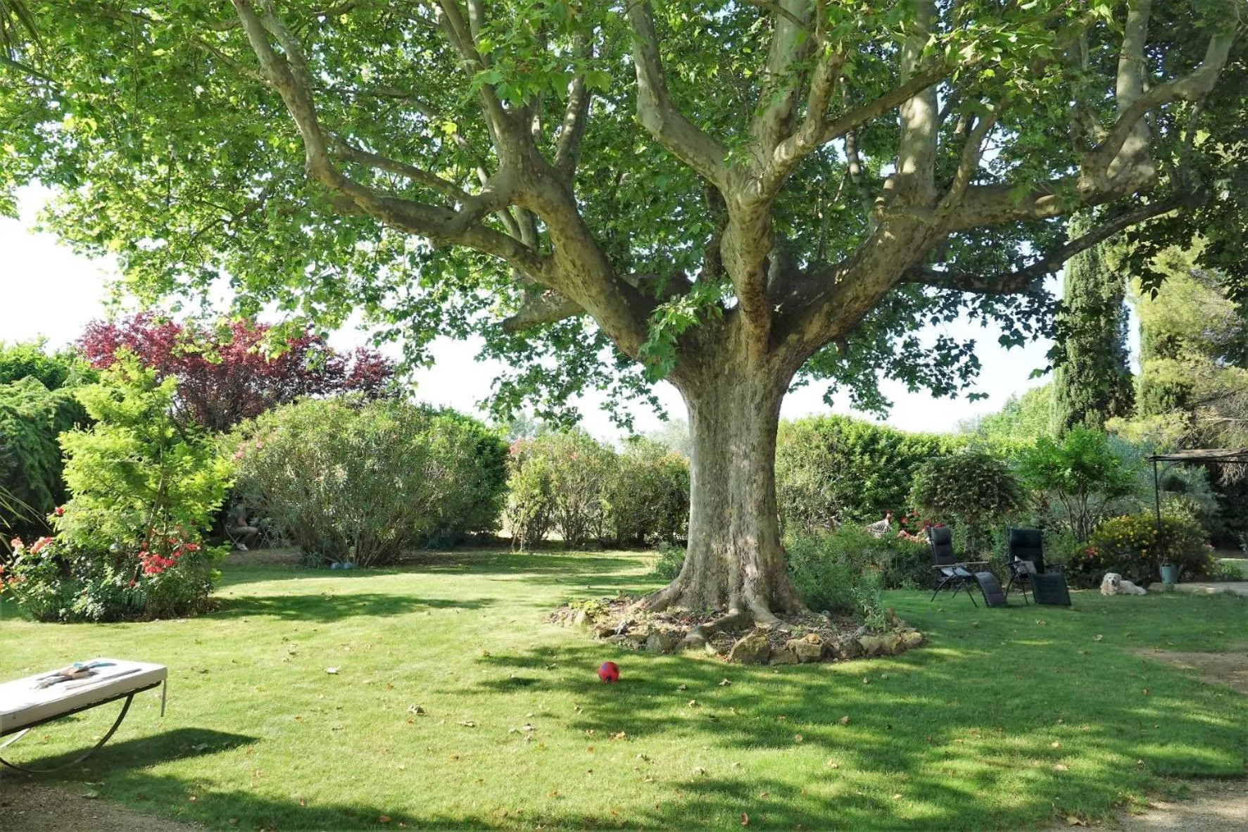 Garden in Mas du Clos de l'Escarrat