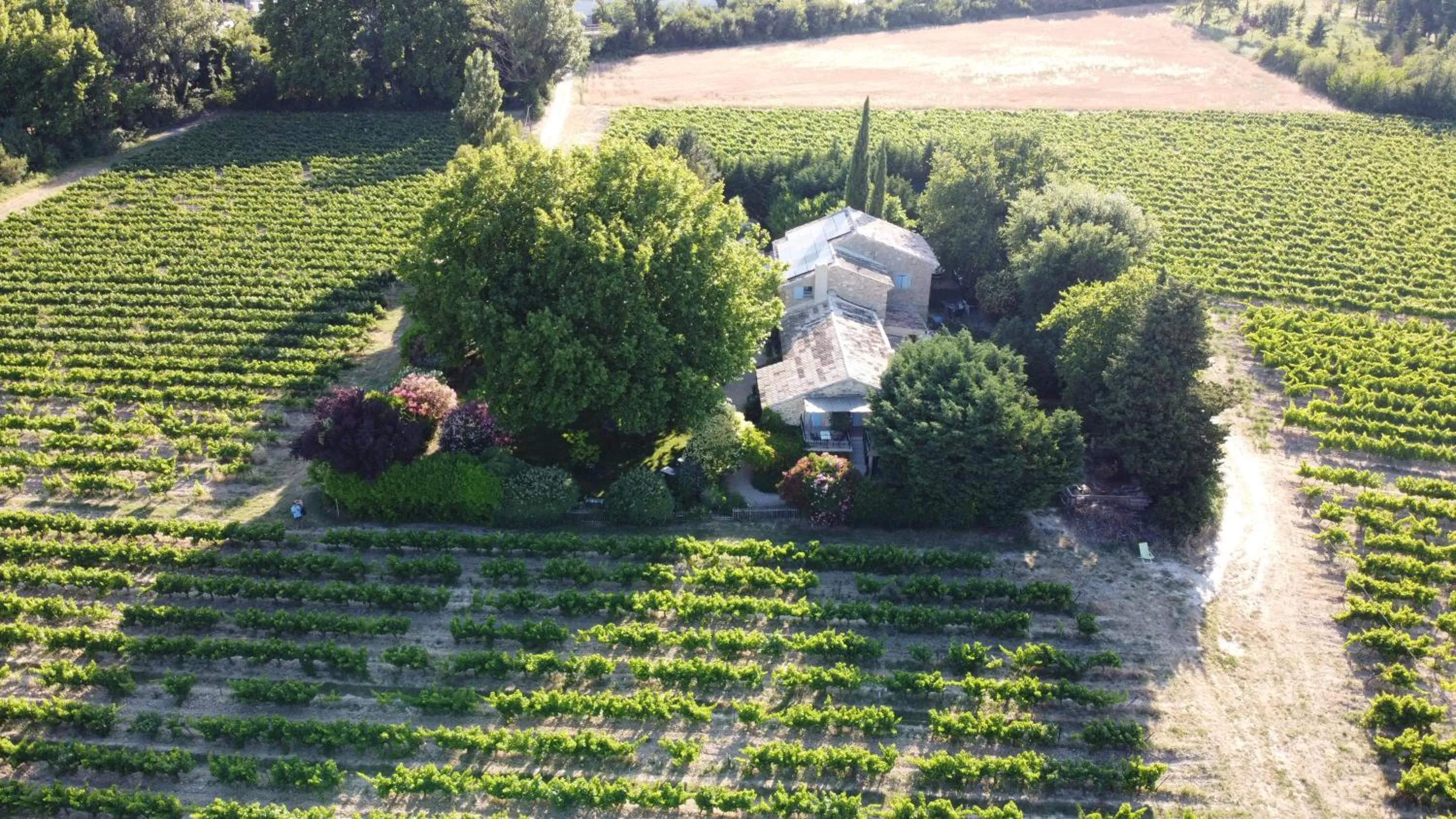 Bird's eye view in Mas du Clos de l'Escarrat