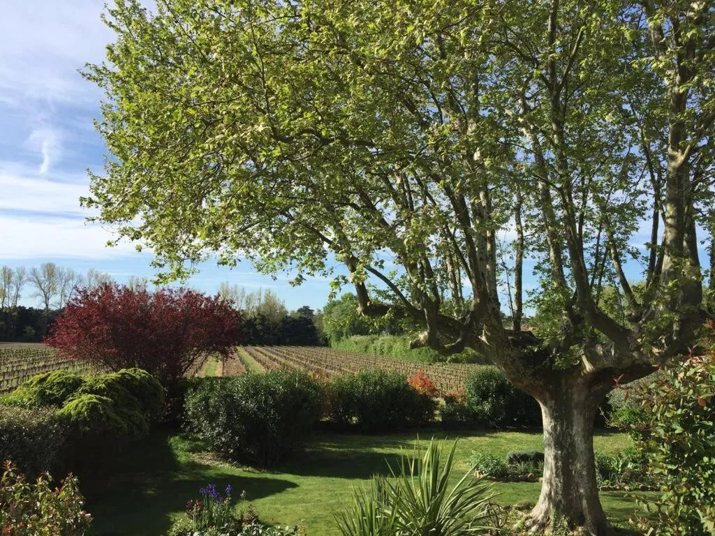 Garden view in Mas du Clos de l'Escarrat