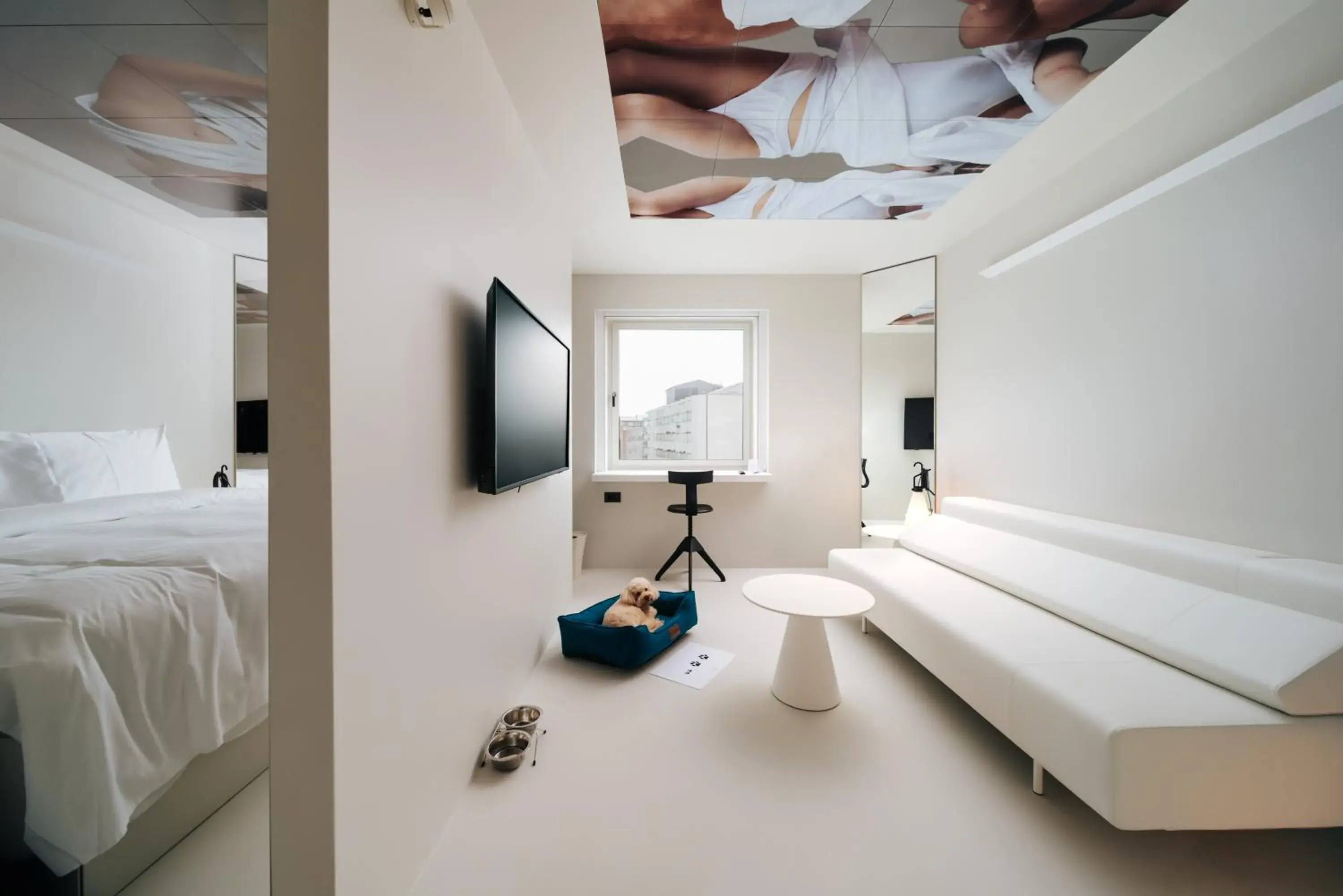 Stellar Suite Module in Hotel Jadran Stellar Suite Module in Hotel Jadran