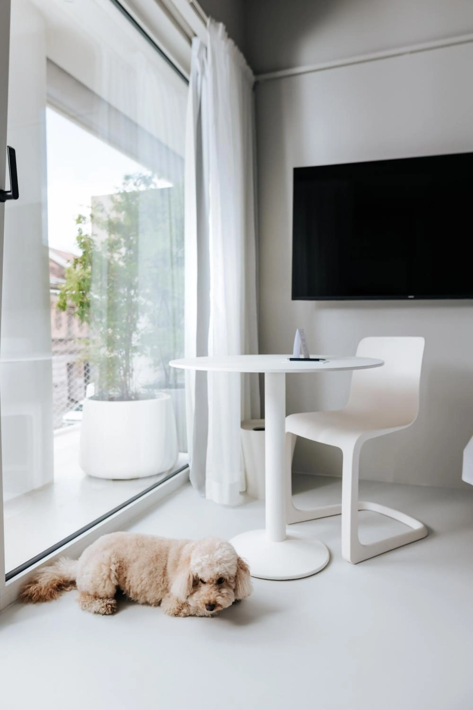 Bedroom in Stellar Boutique Modules by Maistra City Vibes