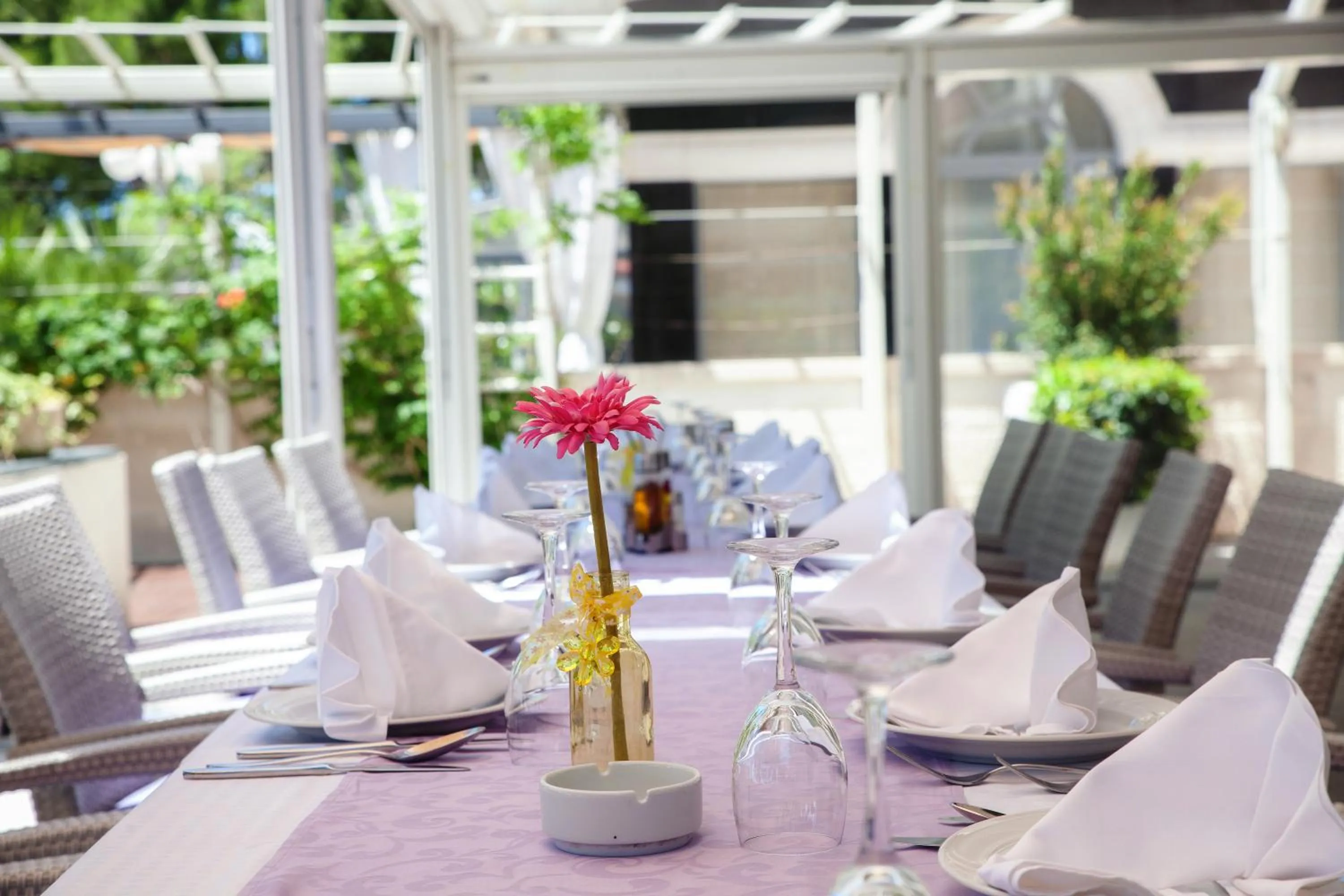 Restaurant/places to eat in Hotel Maritimo