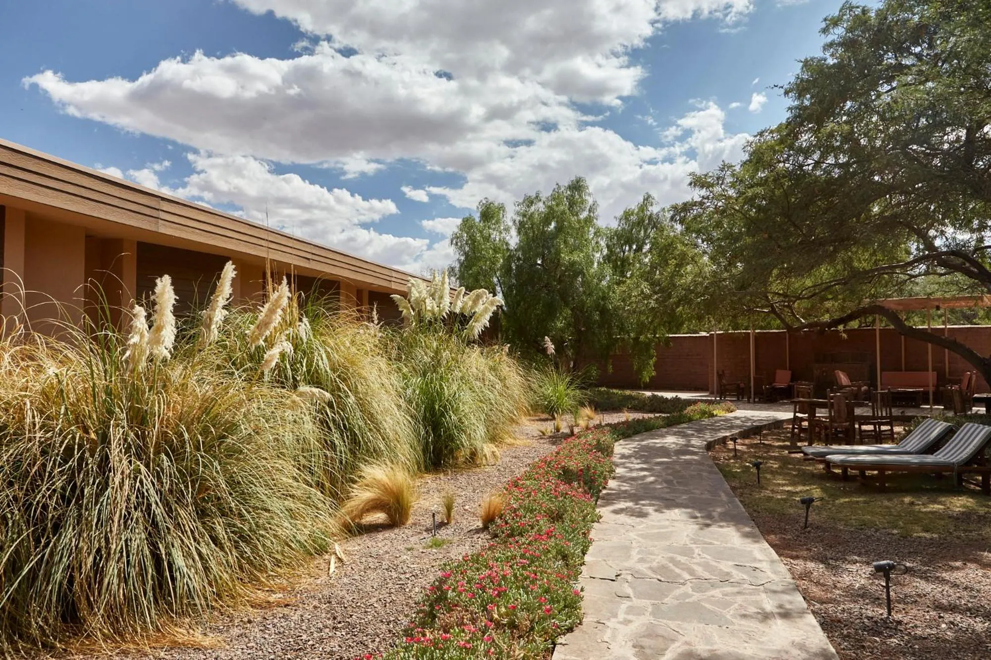 Garden in Hotel La Casa de Don Tomás