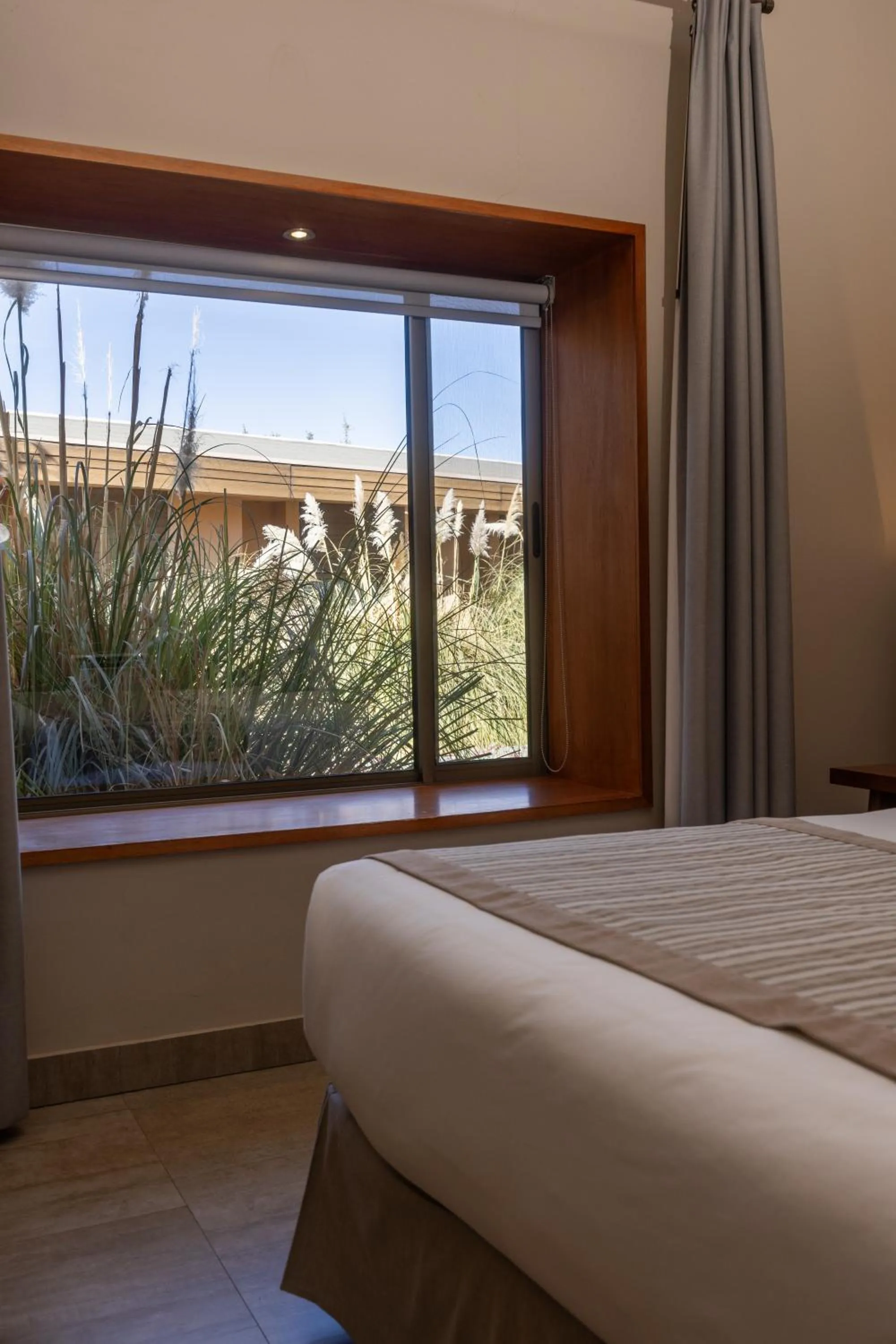 Photo of the whole room, Bed in Hotel La Casa de Don Tomás