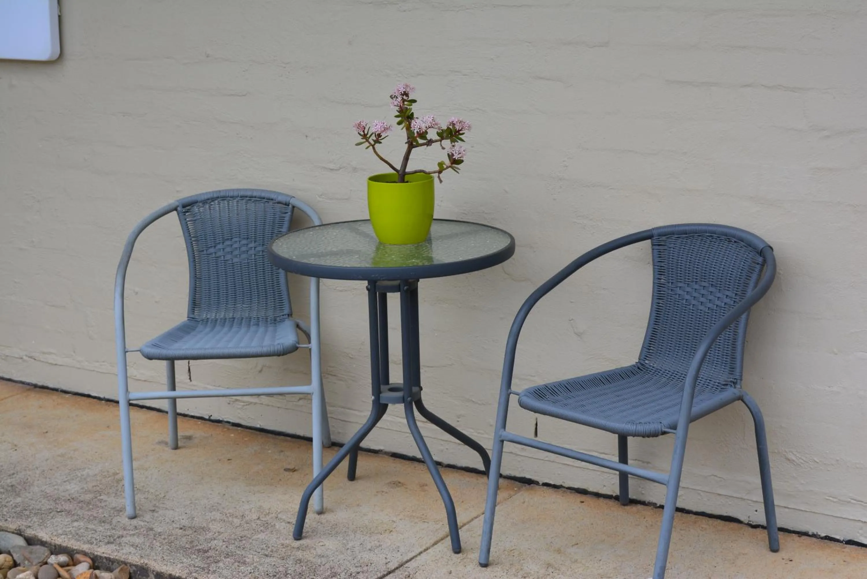 Area and facilities in The Apple Inn