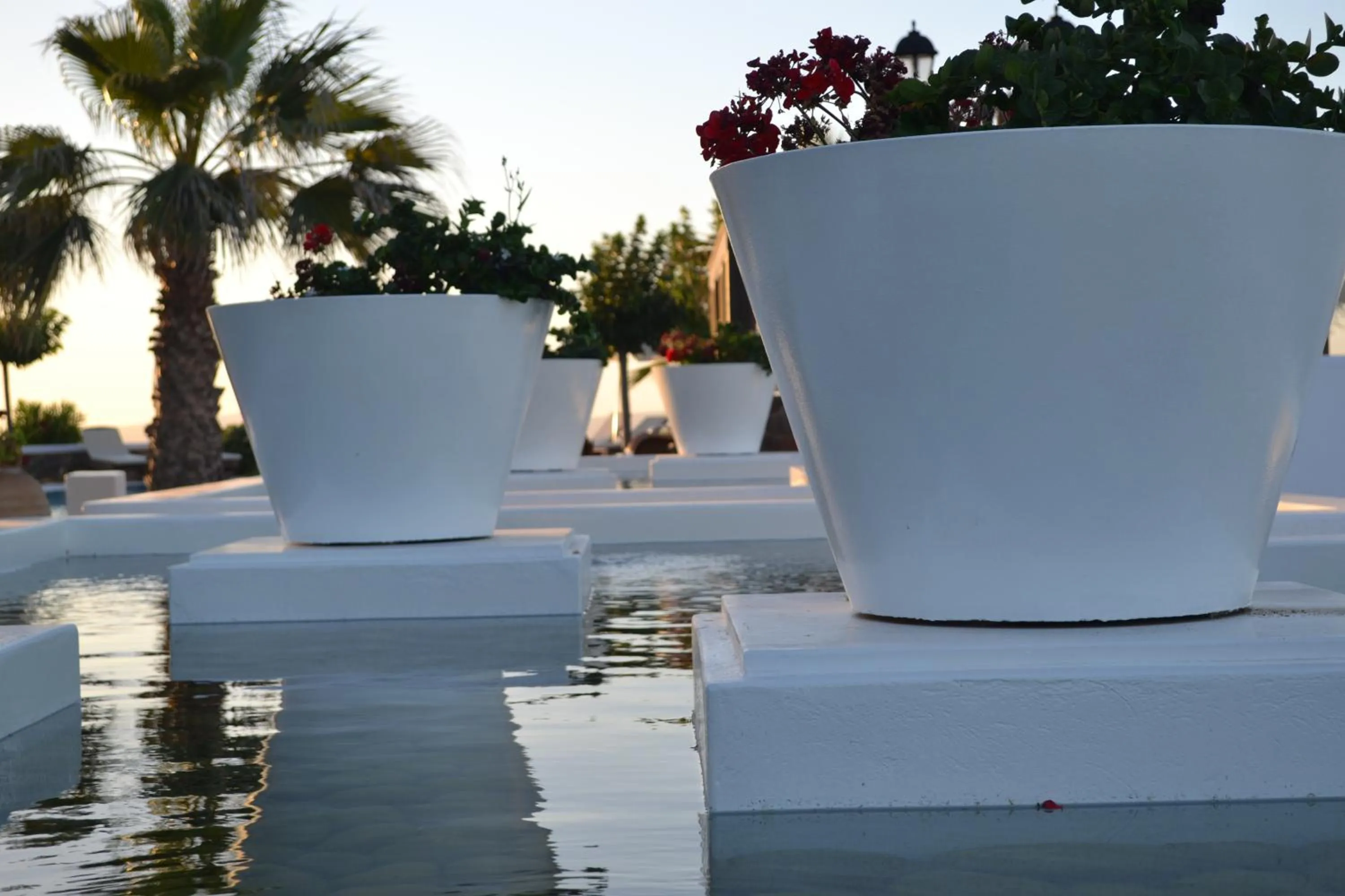 Swimming pool in Maison Des Lys - Luxury Suites