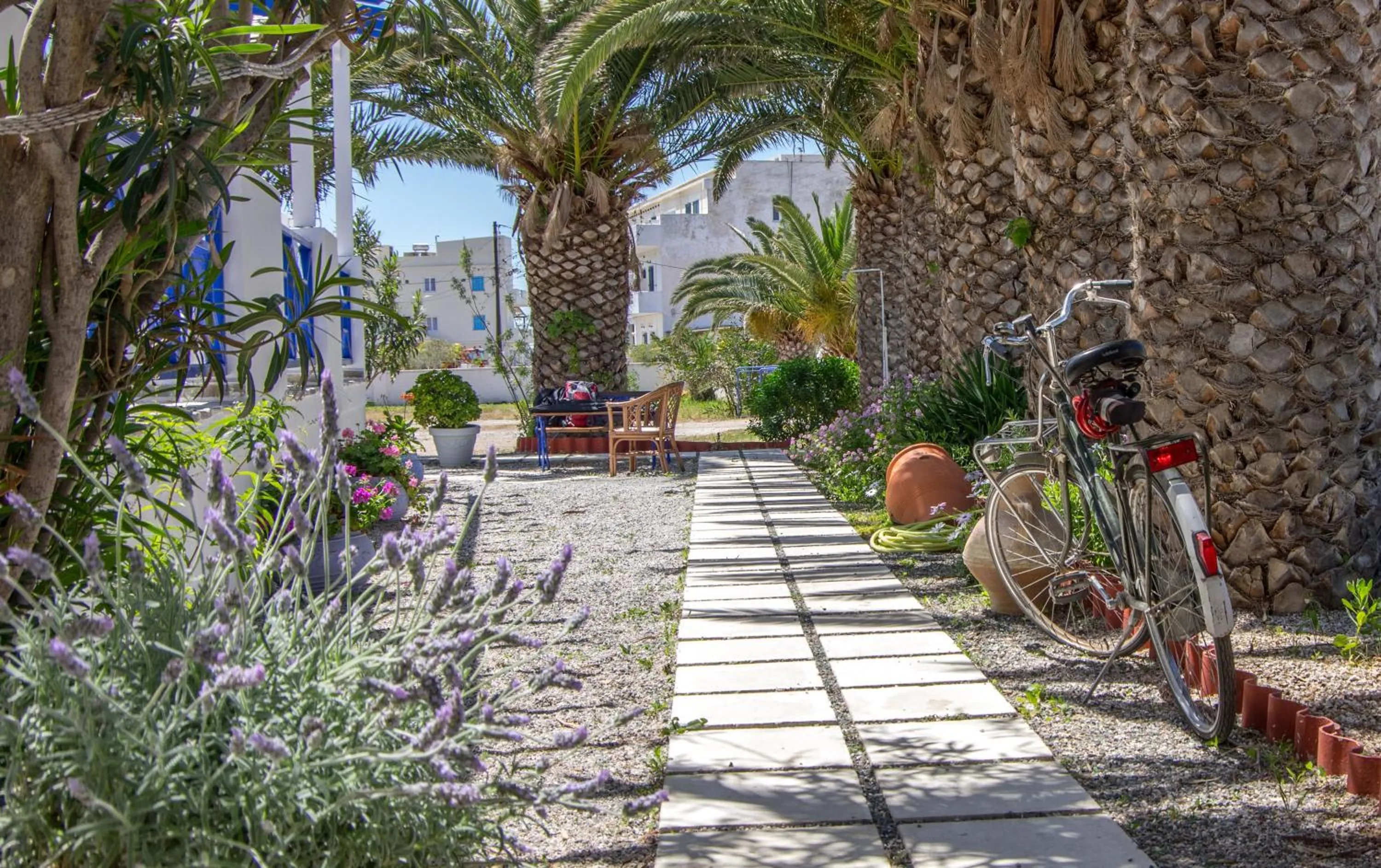 Garden in Syros Atlantis