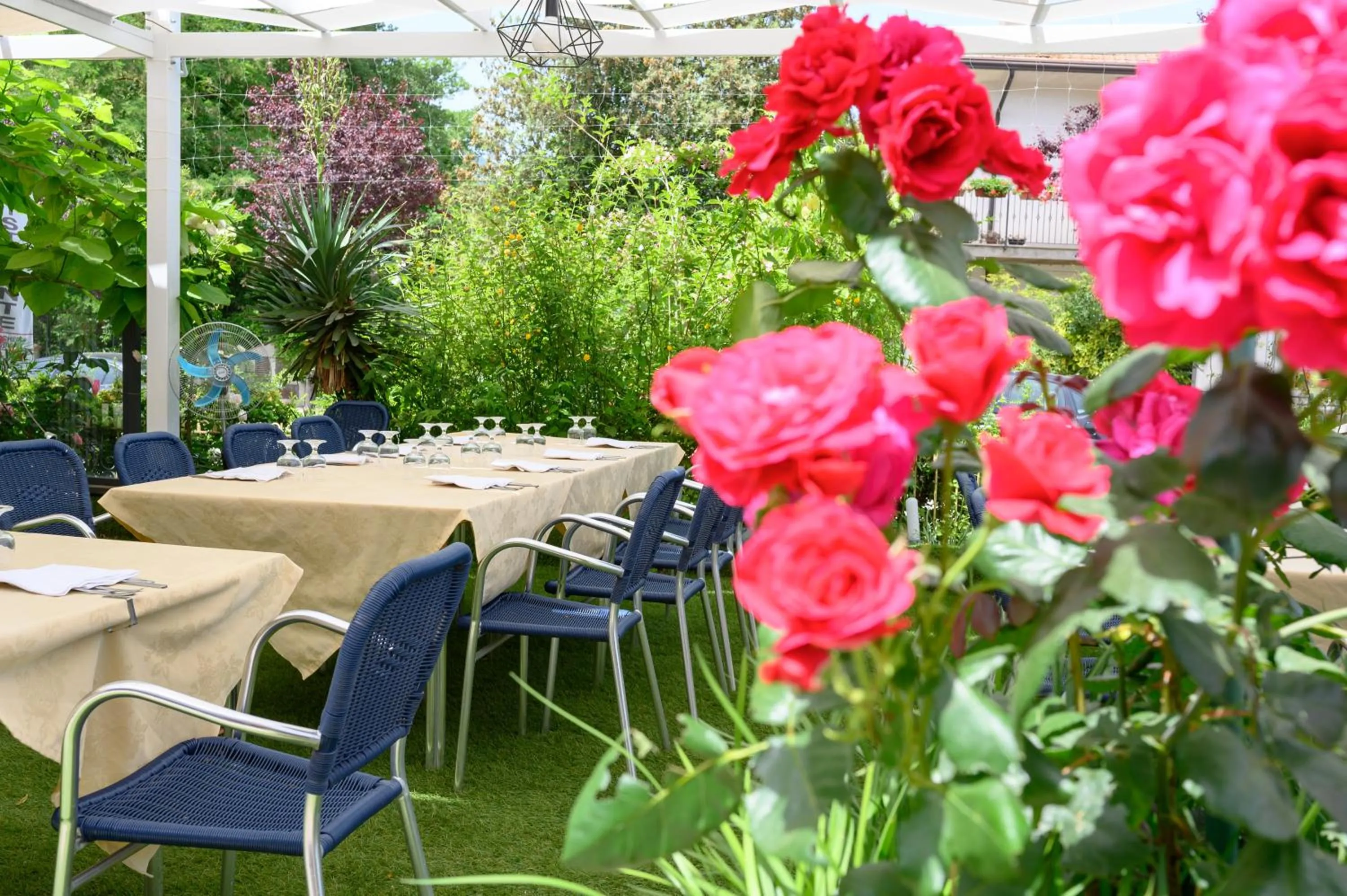 Ristorante Albergo Gerardo Di Masi