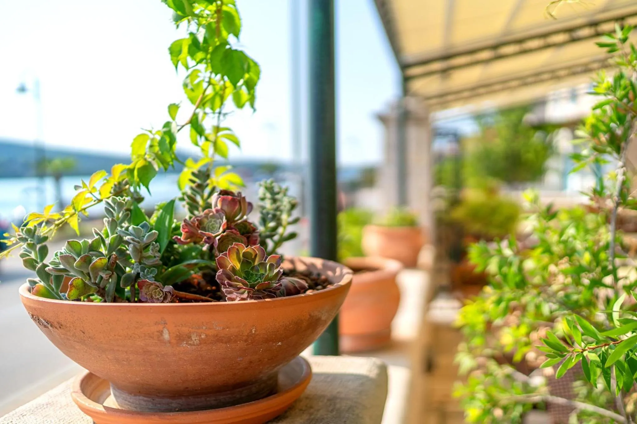 Patio in Heritage Hotel Tisno