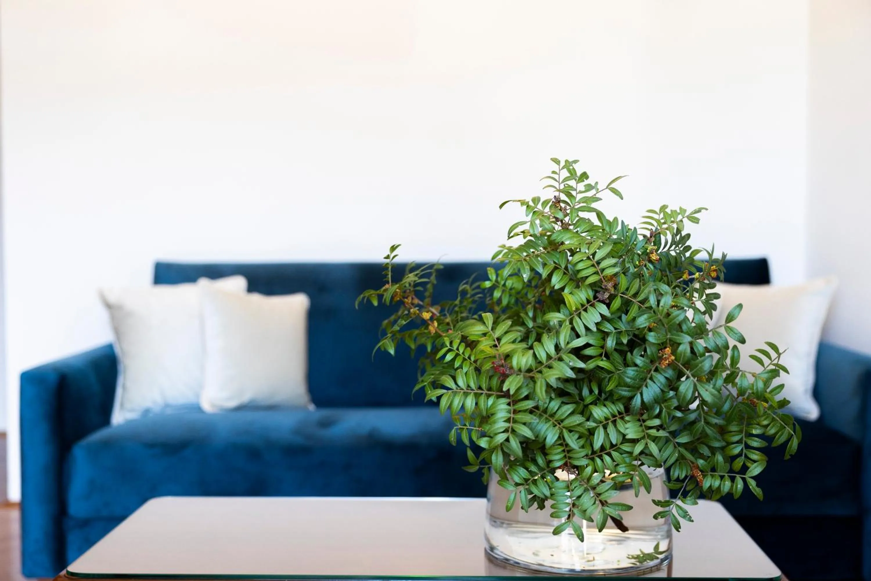 Living room in Heritage Hotel Tisno