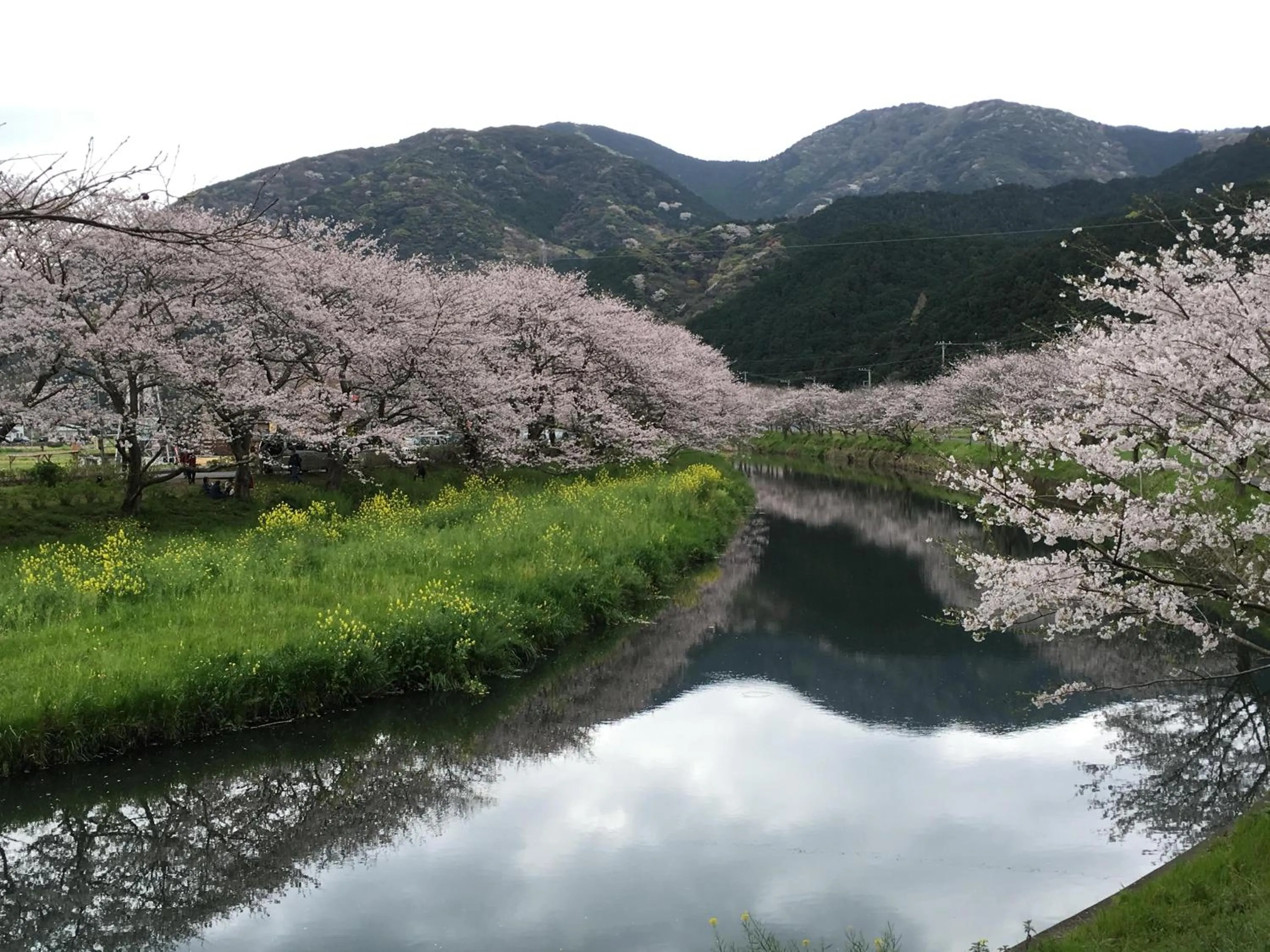 Spring in Dogashima Onsen Hotel