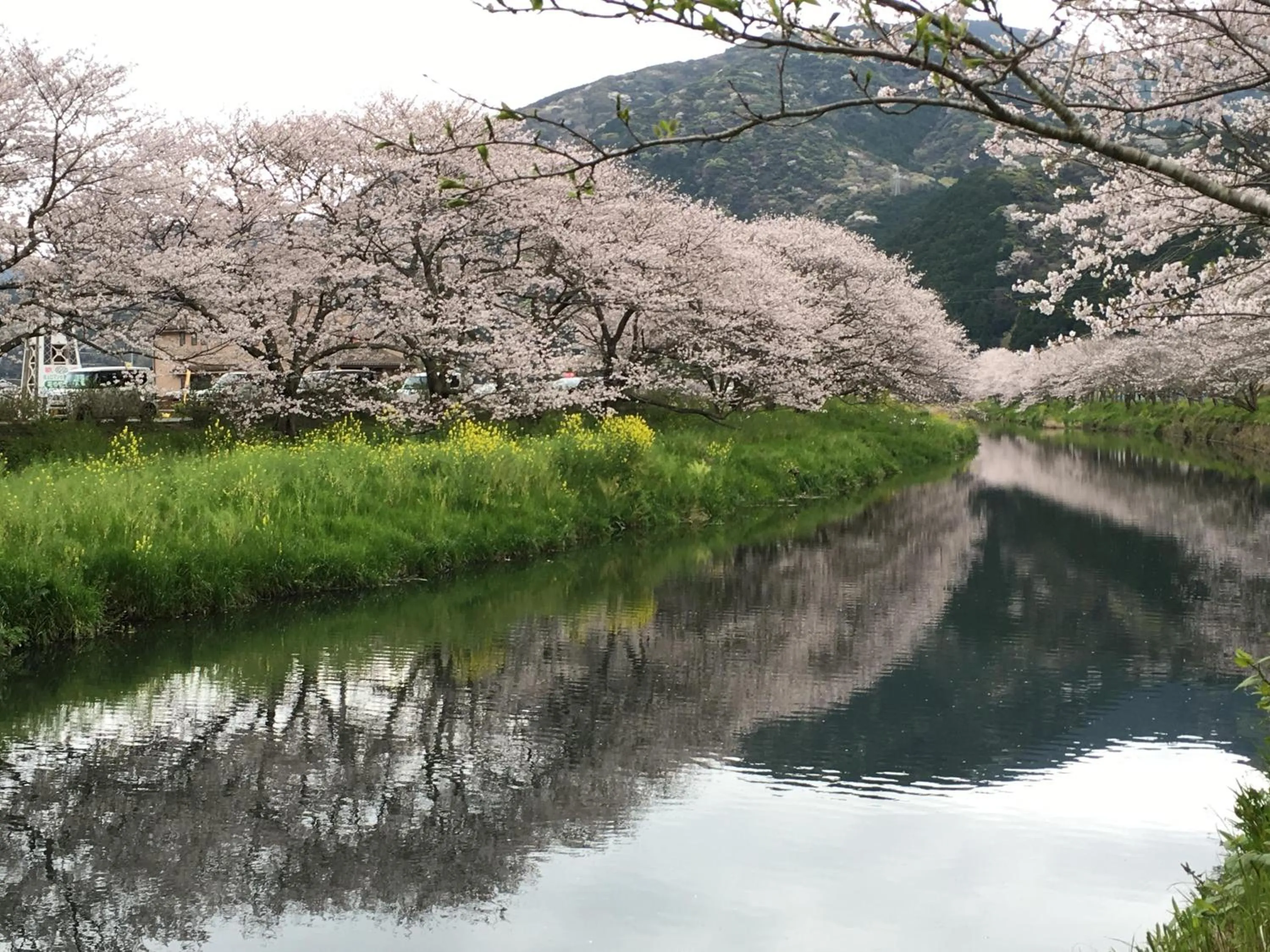 Spring in Dogashima Onsen Hotel