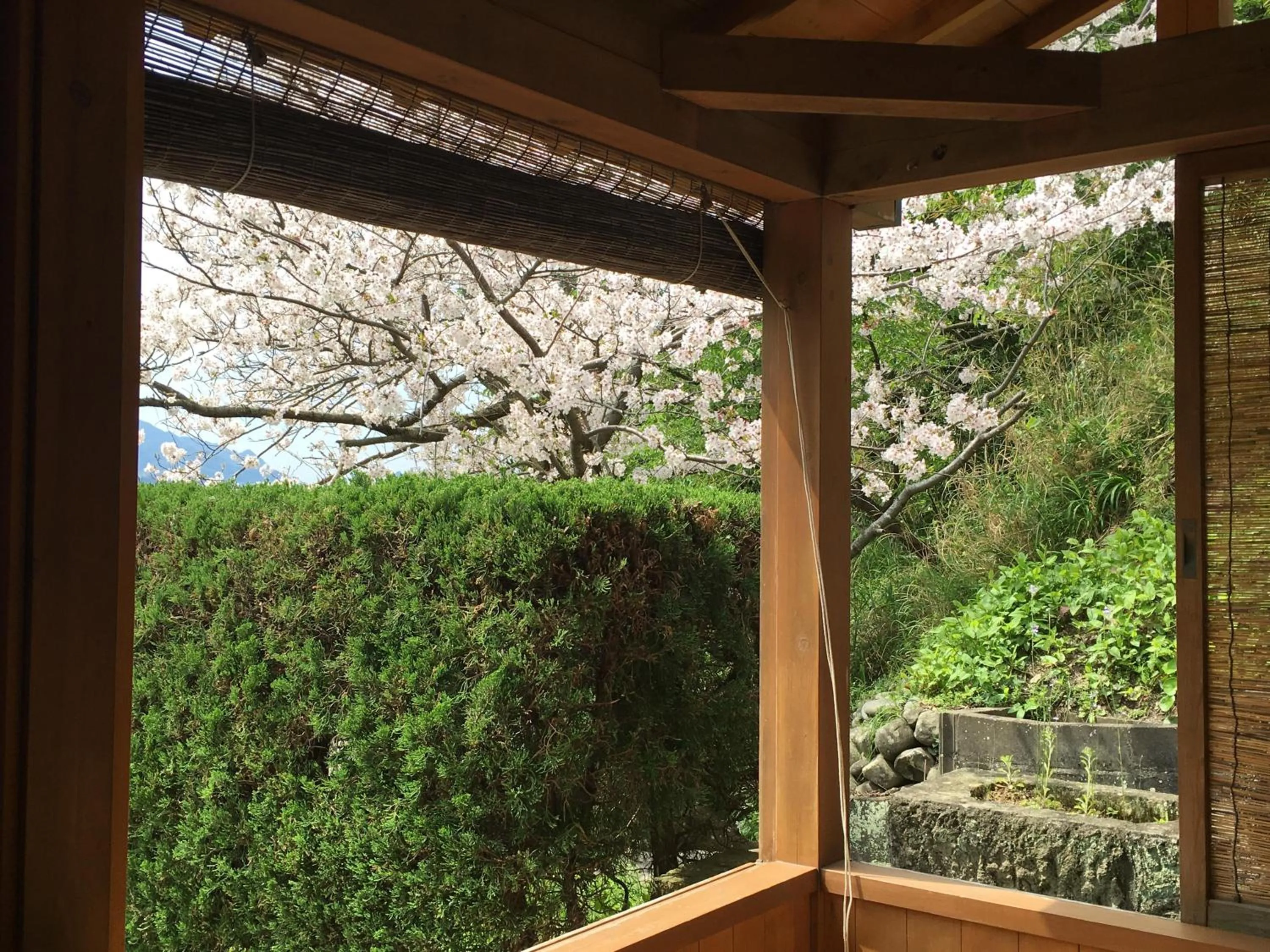 Spring in Dogashima Onsen Hotel