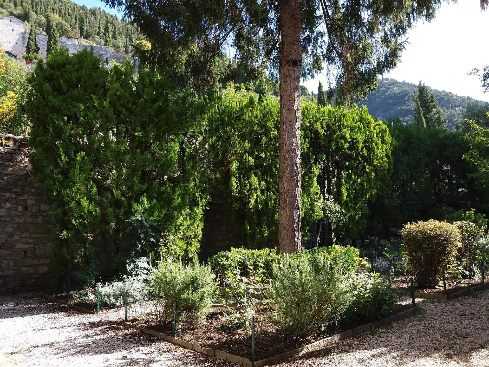 Garden in Vescovado 7