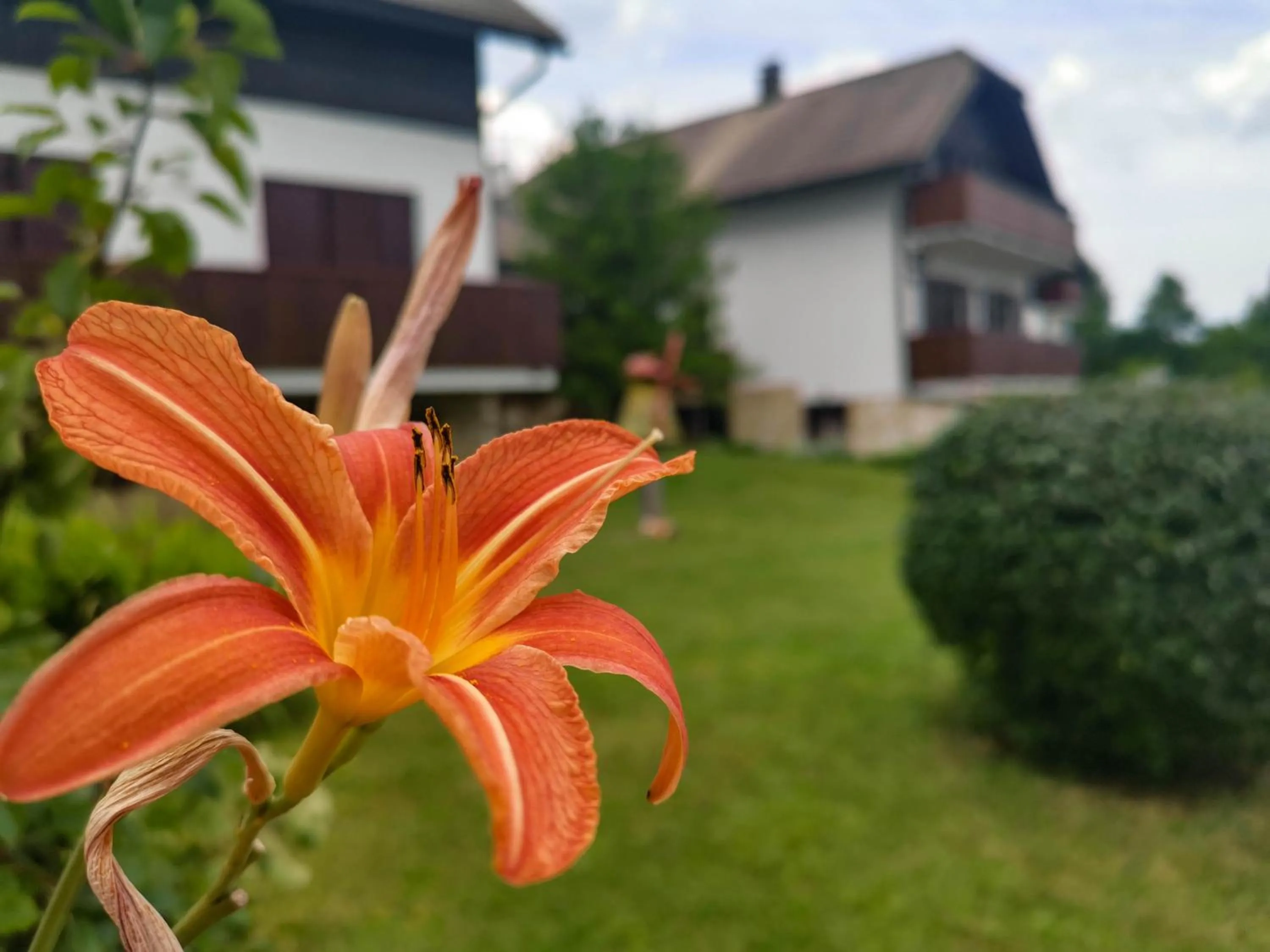 Property building in Etno Garden Apartments