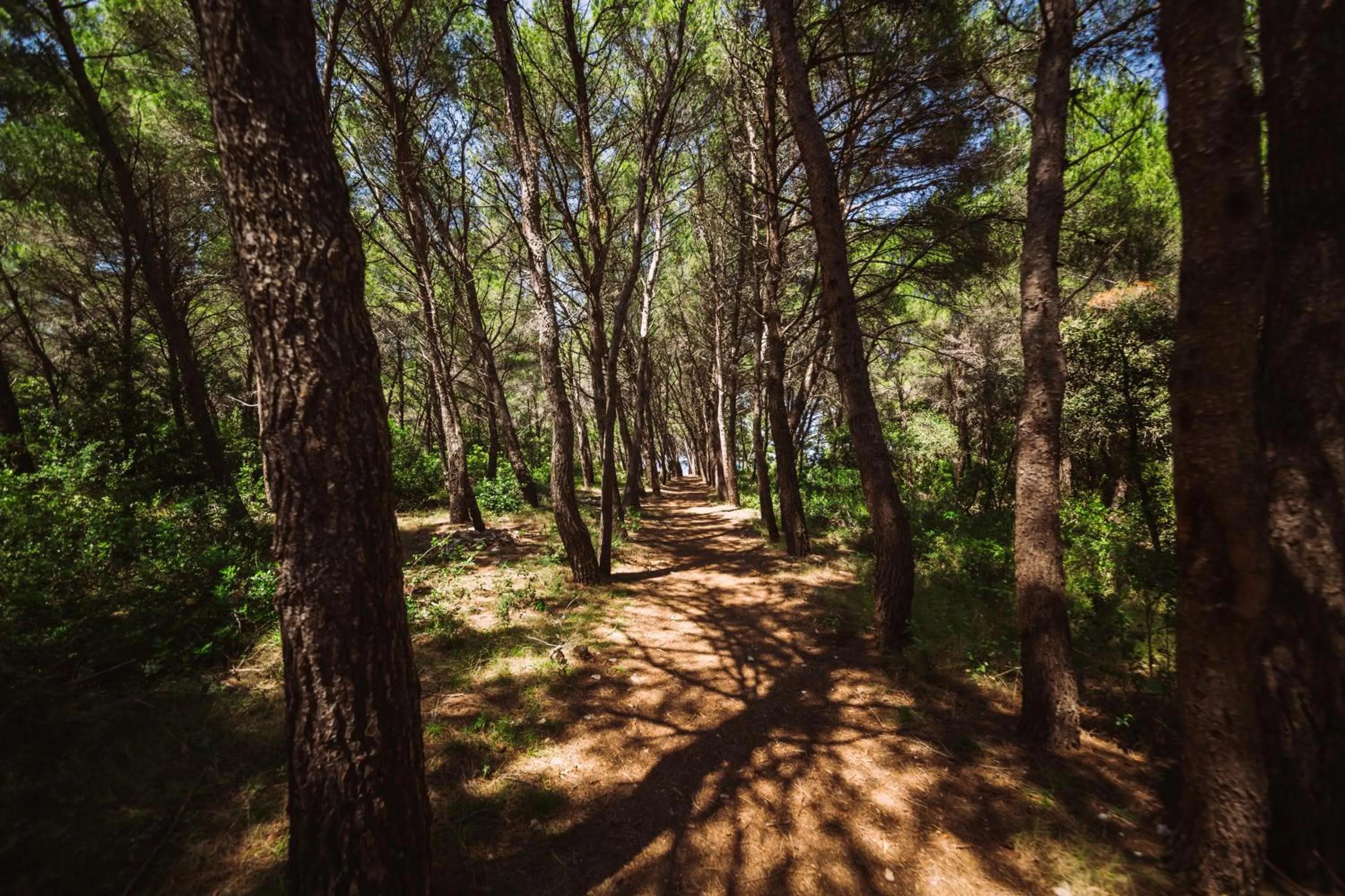 Day in Hotel Korkyra