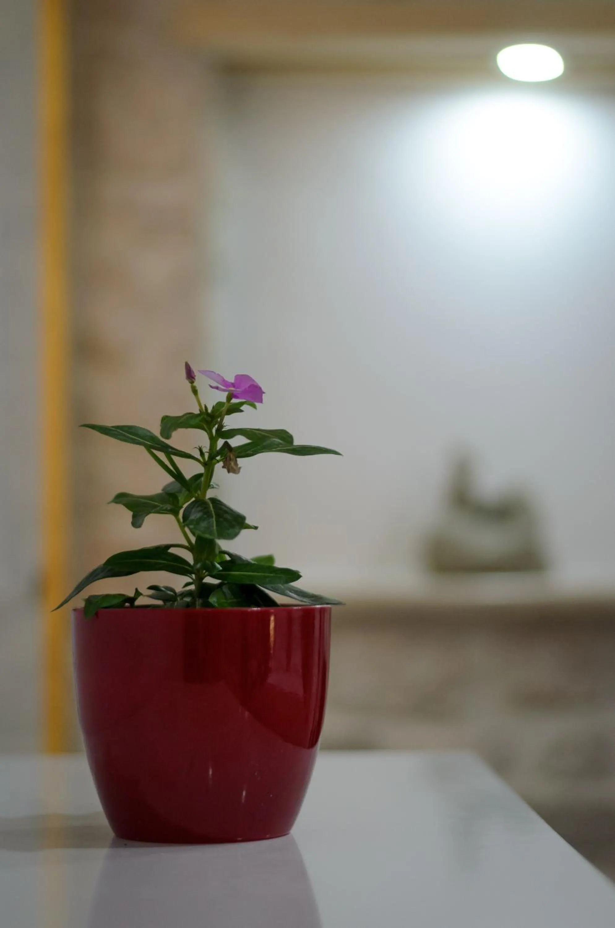 Decorative detail in Villa Kudelik - Stone Story