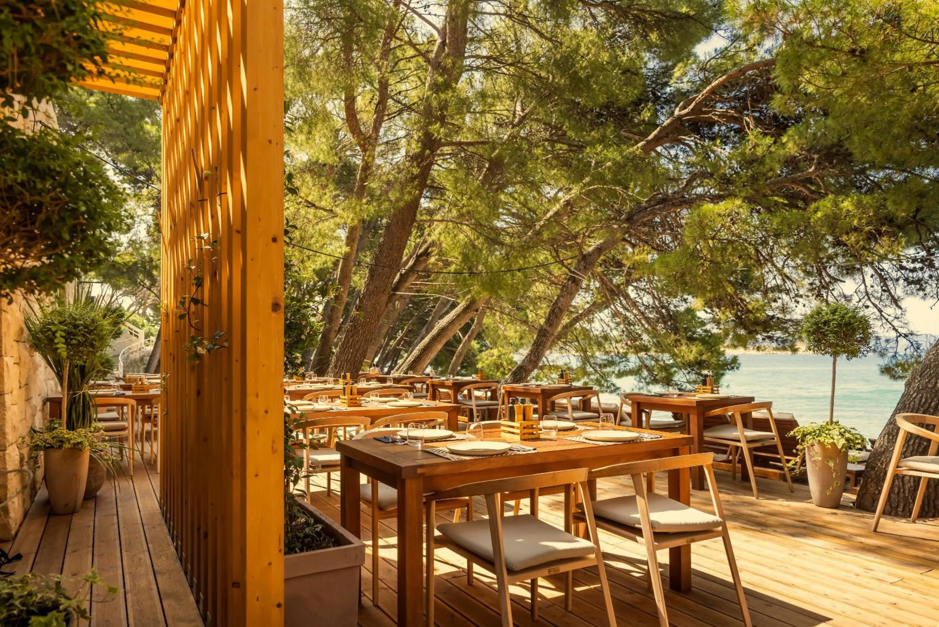 Lounge or bar in PLACES Dalmacija by Valamar