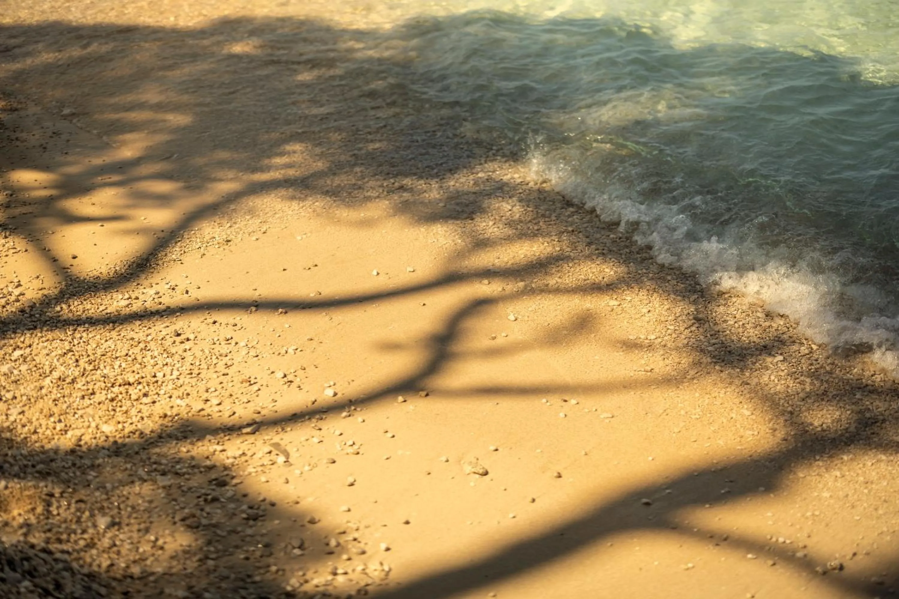 Beach in PLACES Dalmacija by Valamar