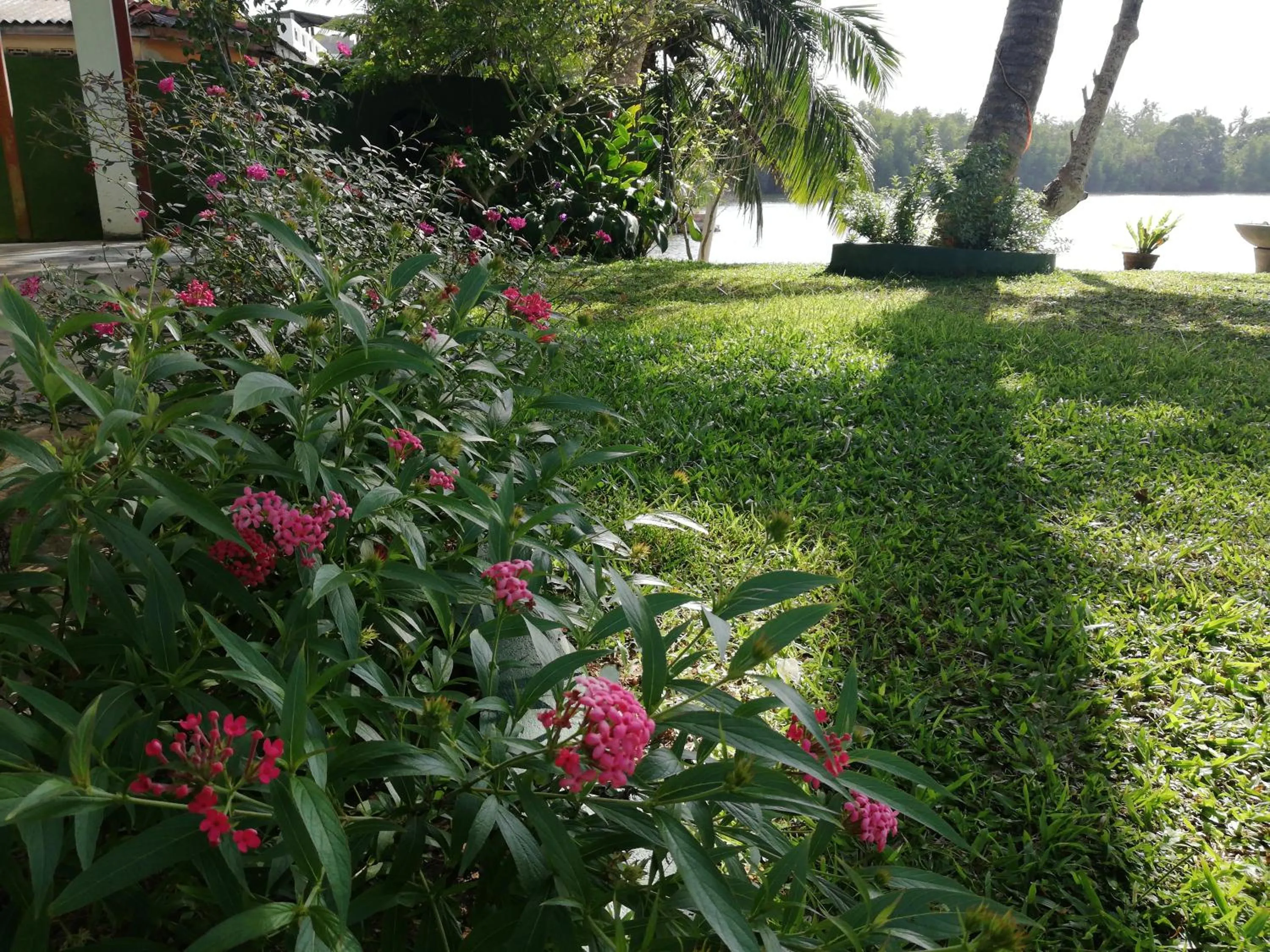 Garden in Mahi Villa