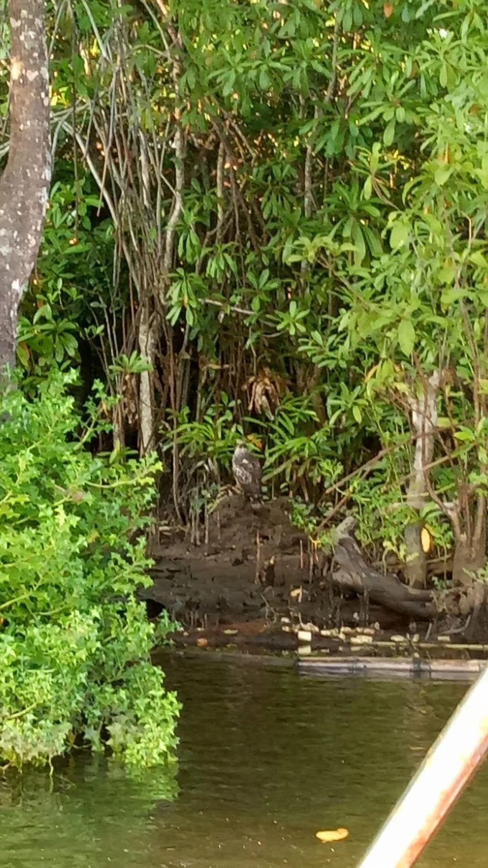 Landmark view in Mahi Villa