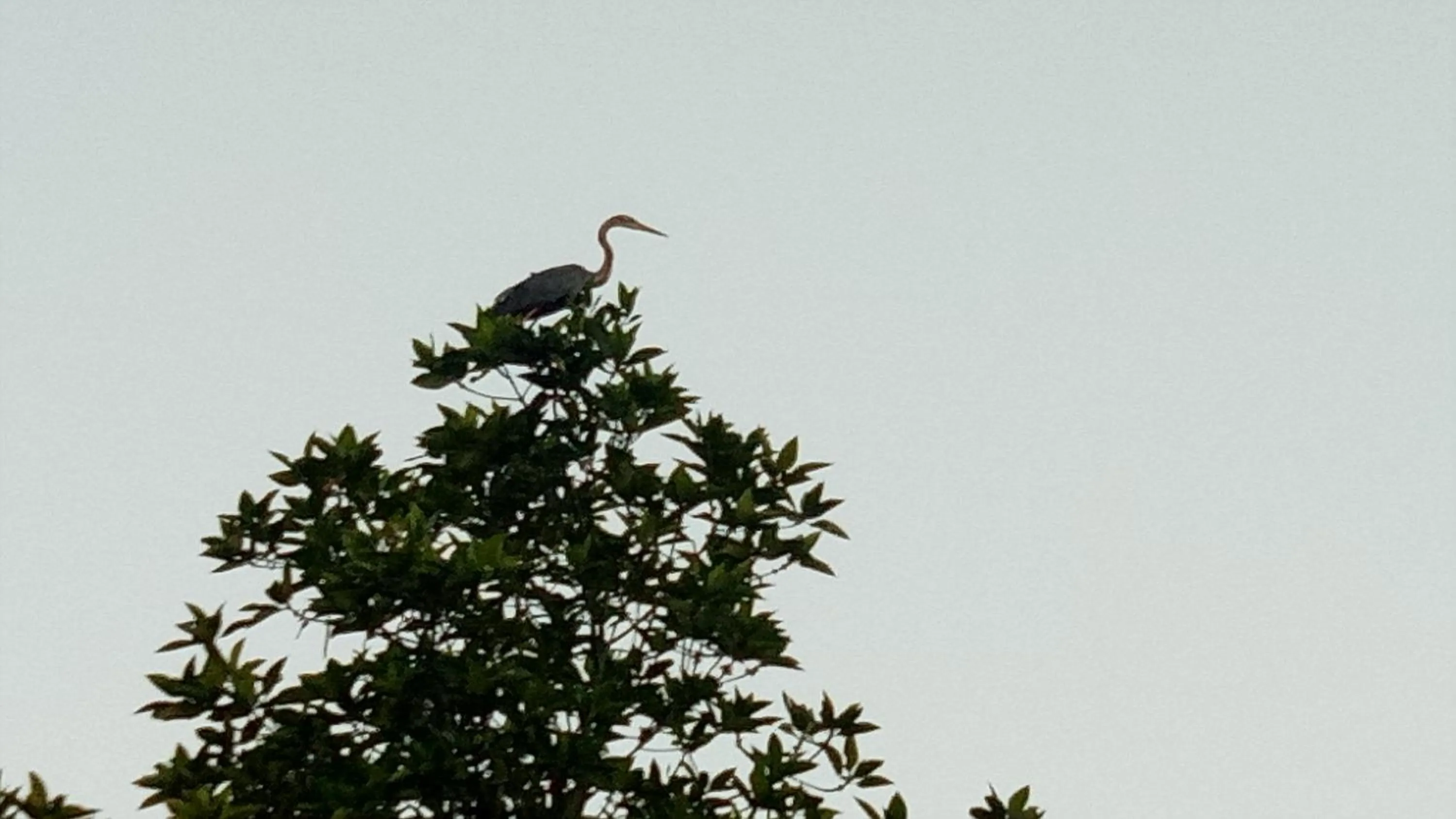 Off site in Mahi Villa