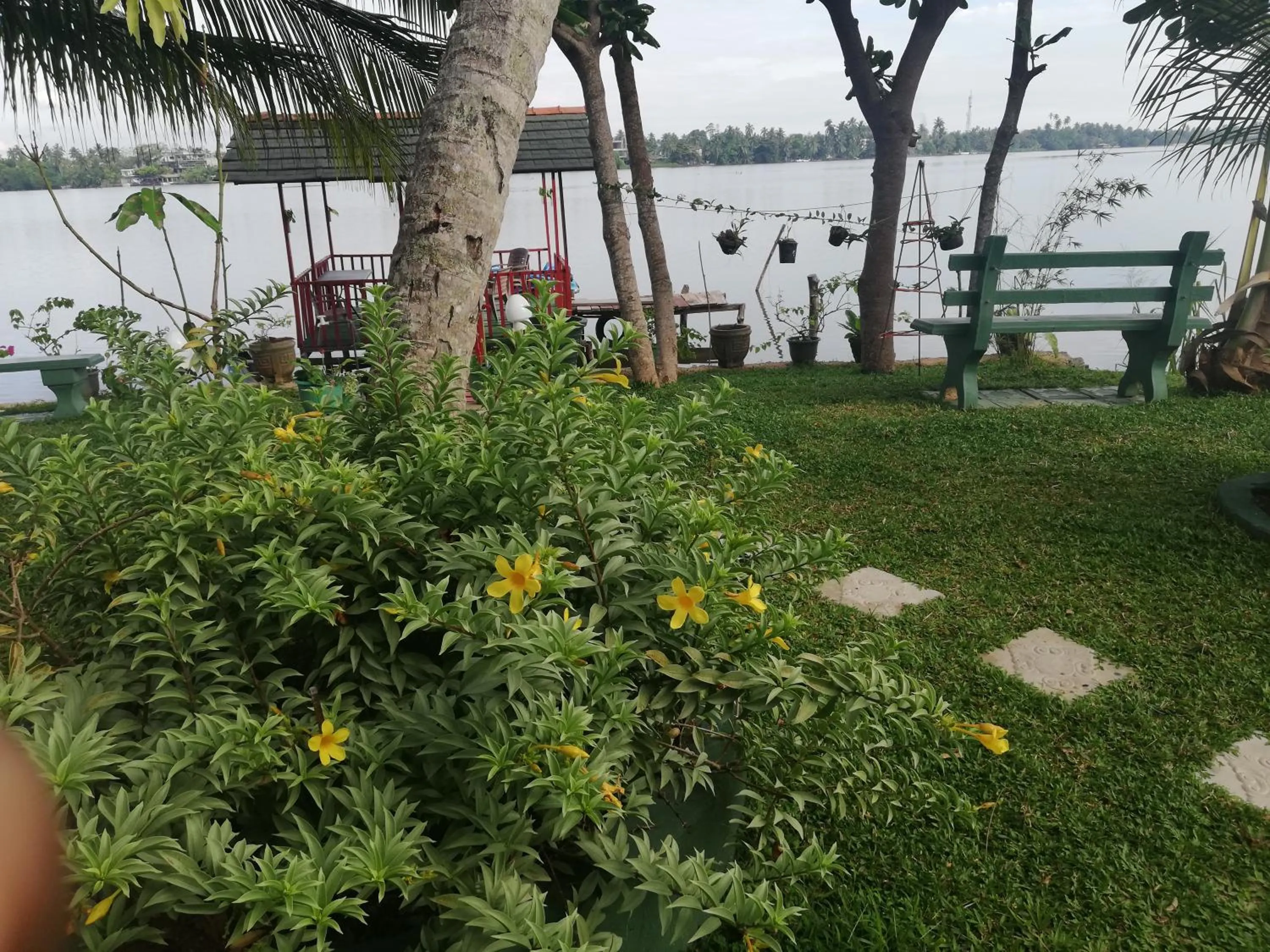 Garden in Mahi Villa