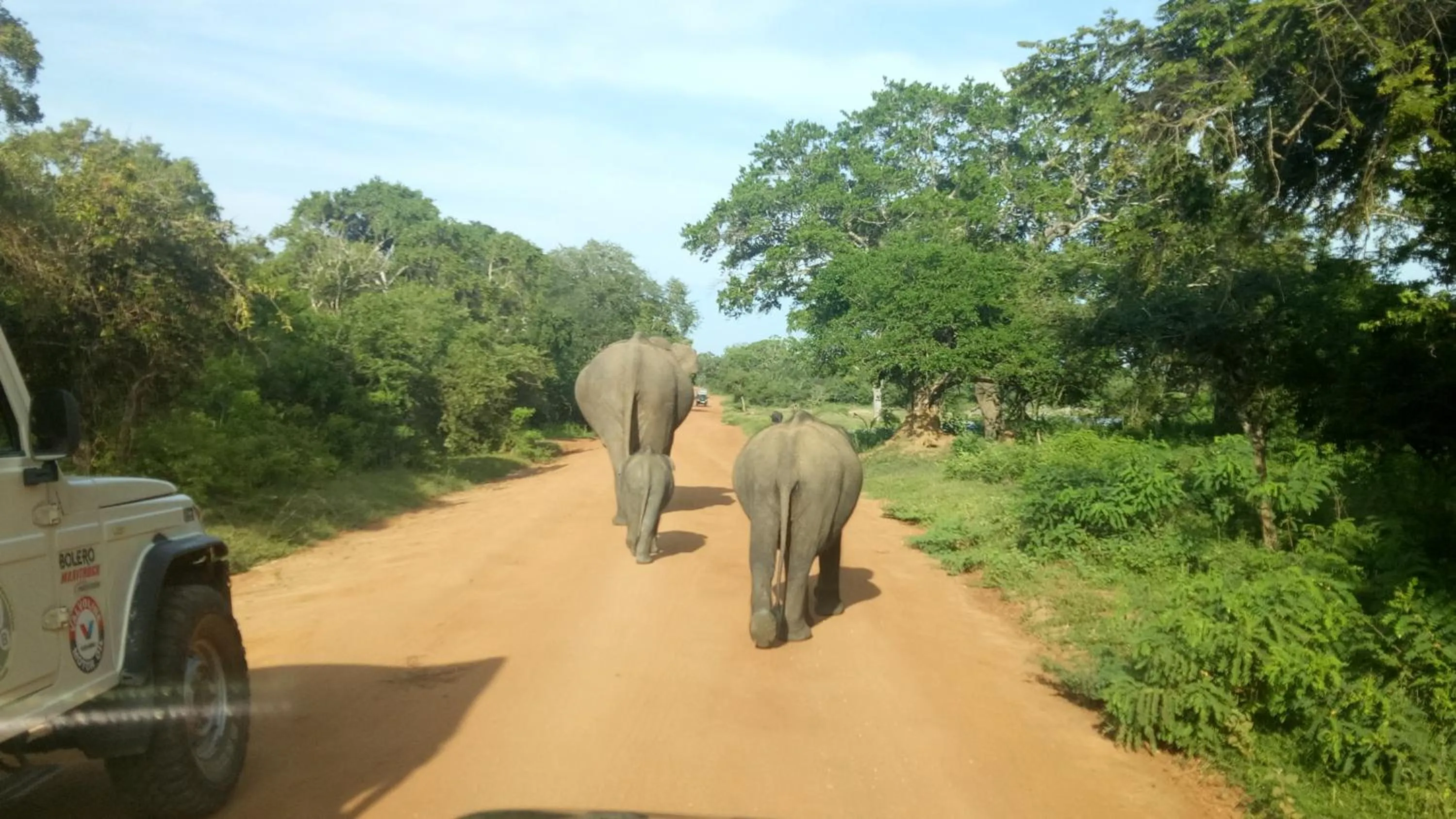 Activities in Mahi Villa