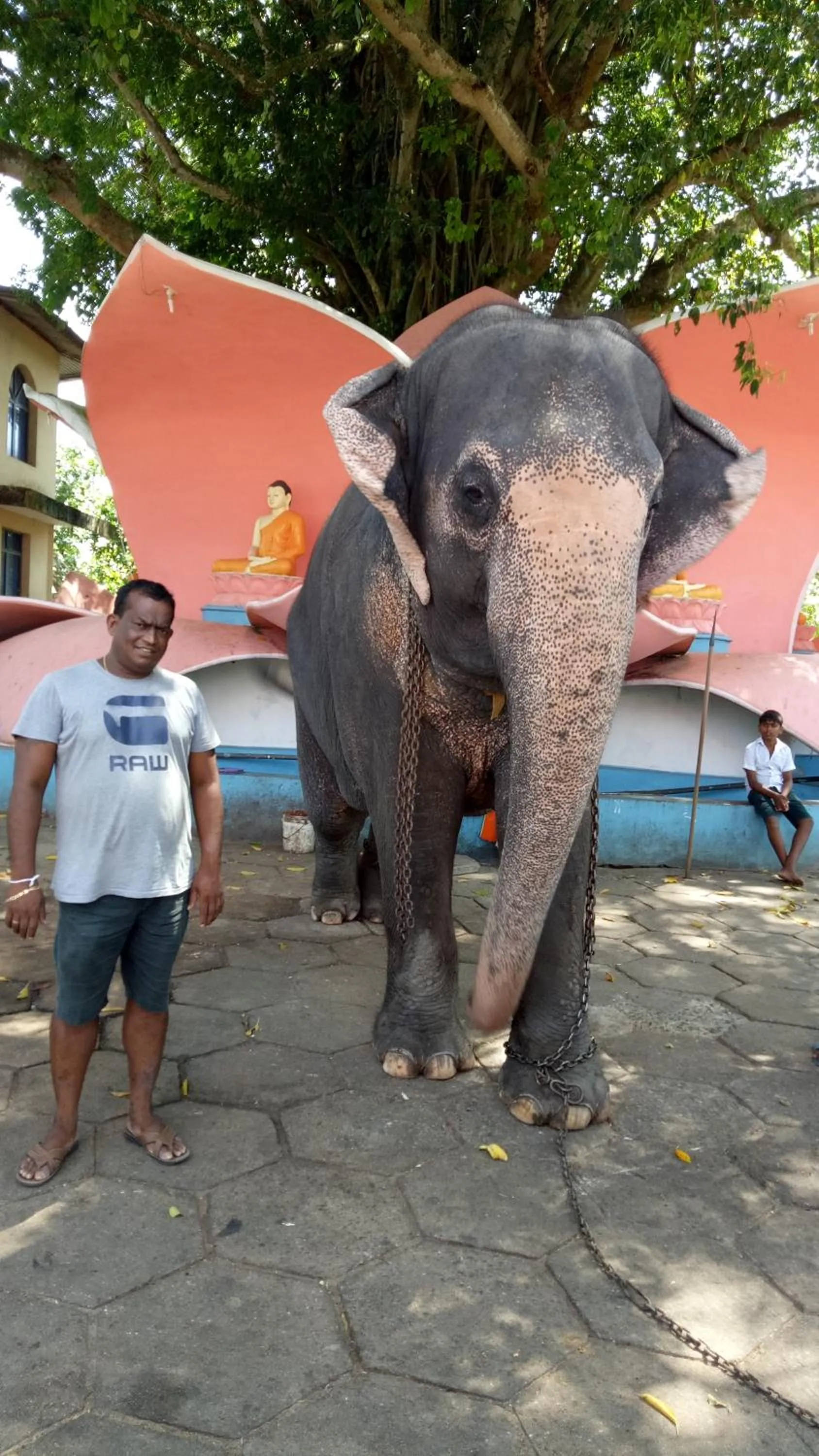 Activities in Mahi Villa