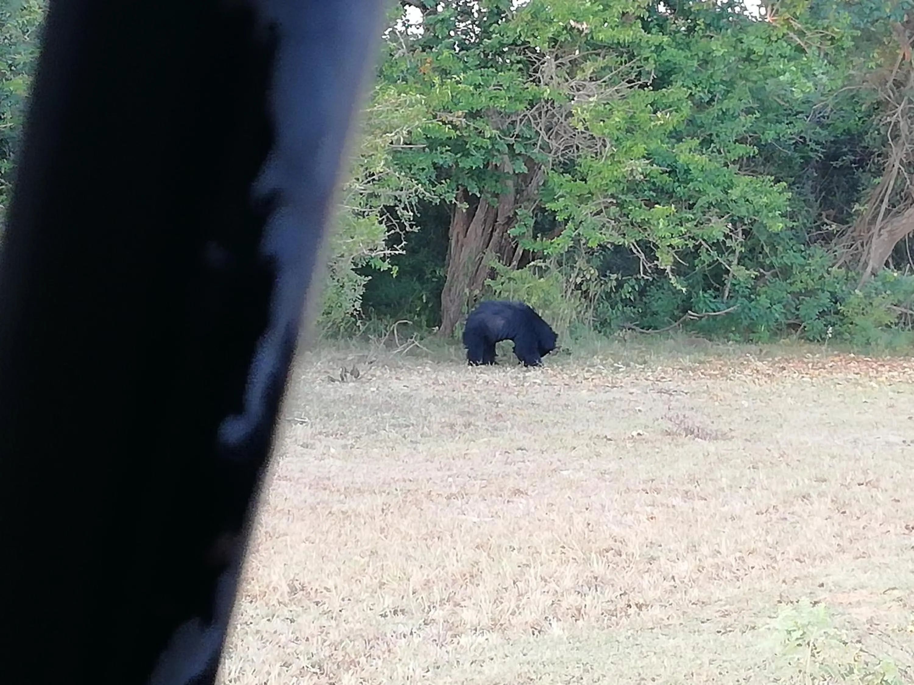 Off site in Mahi Villa