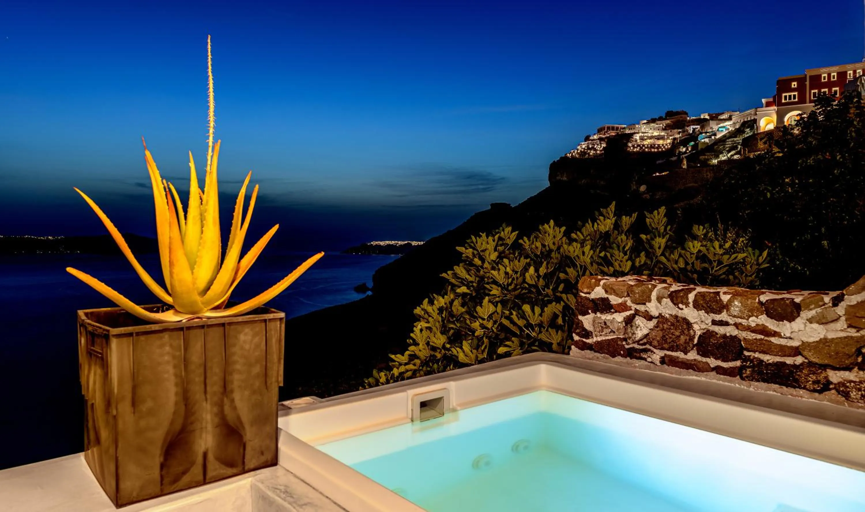 Night in Golden Grey Goose