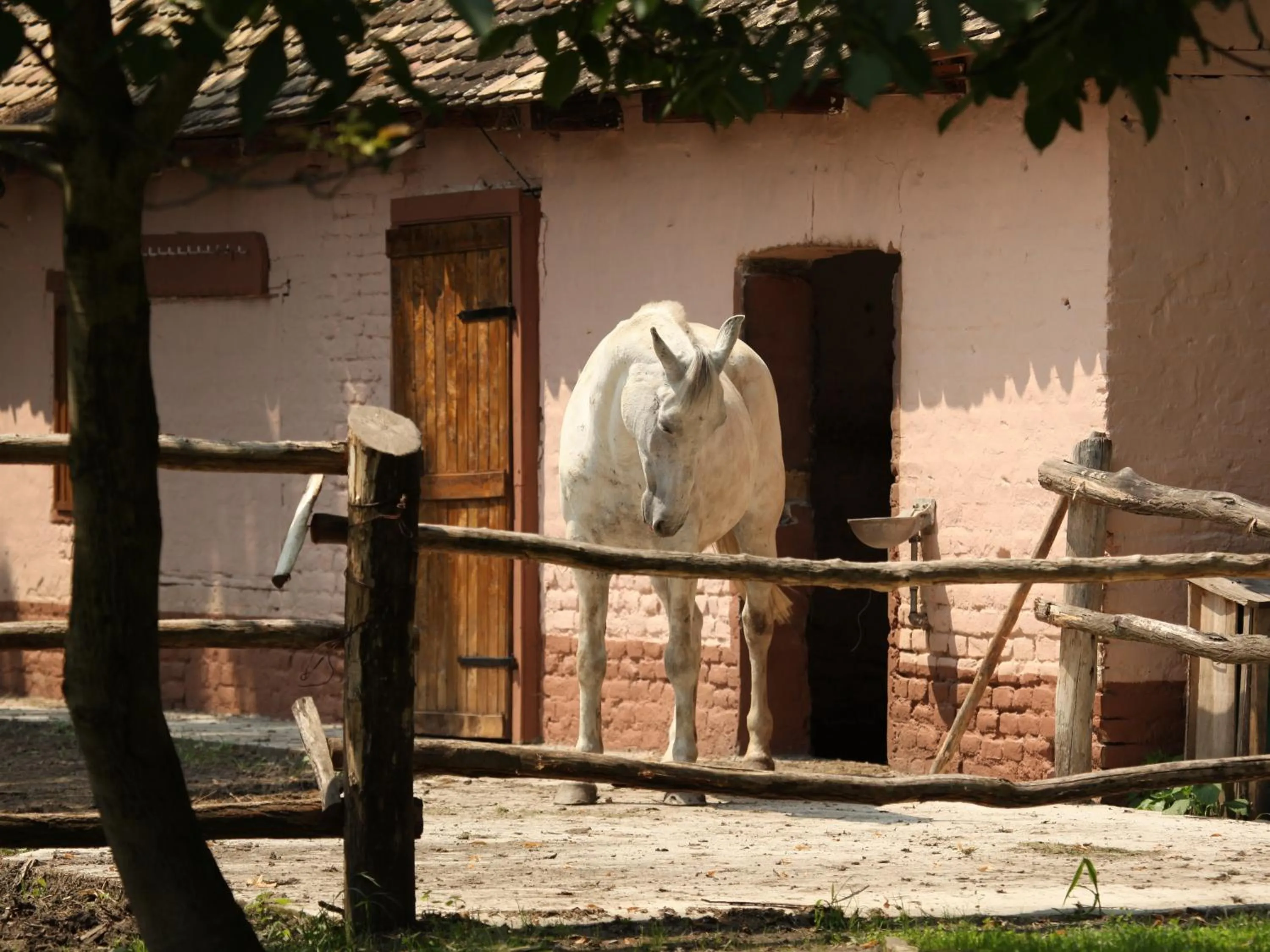 Horse-riding in Apartments Vrata Baranje