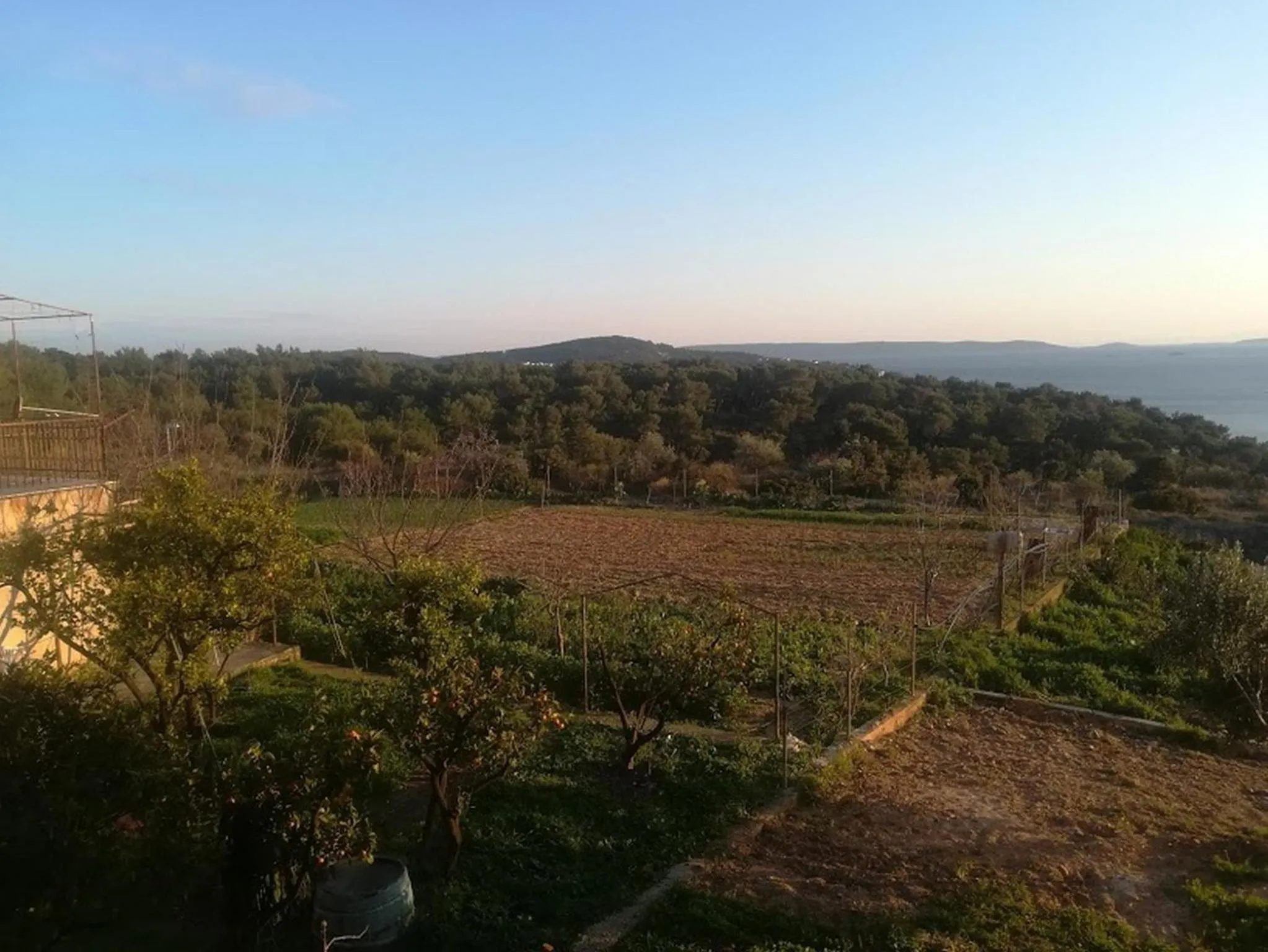 Garden in Apartments Barisic Hrvatskih Žrtava 404 Seget Vranjica