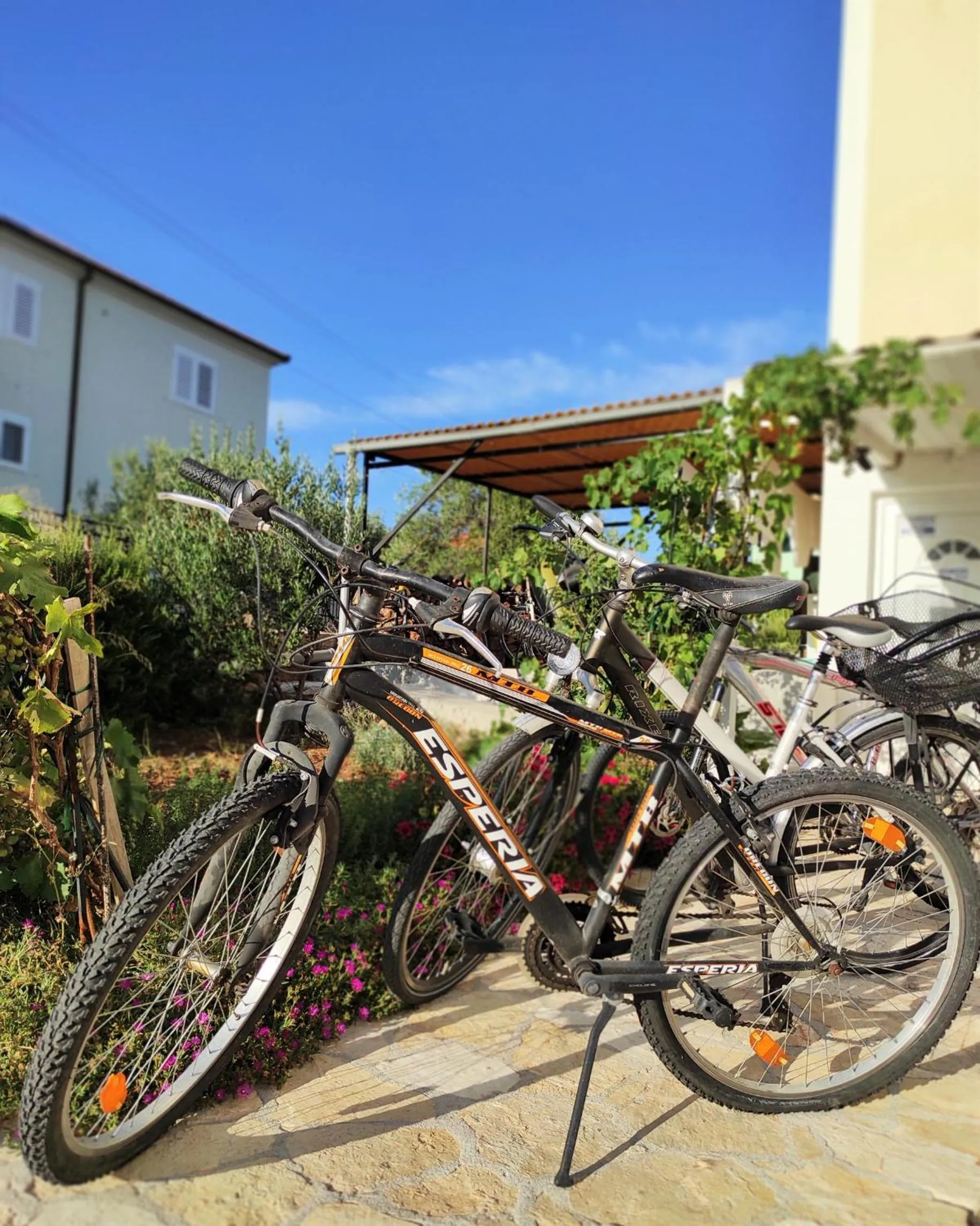 Apartments Barisic Hrvatskih Žrtava 404 Seget Vranjica