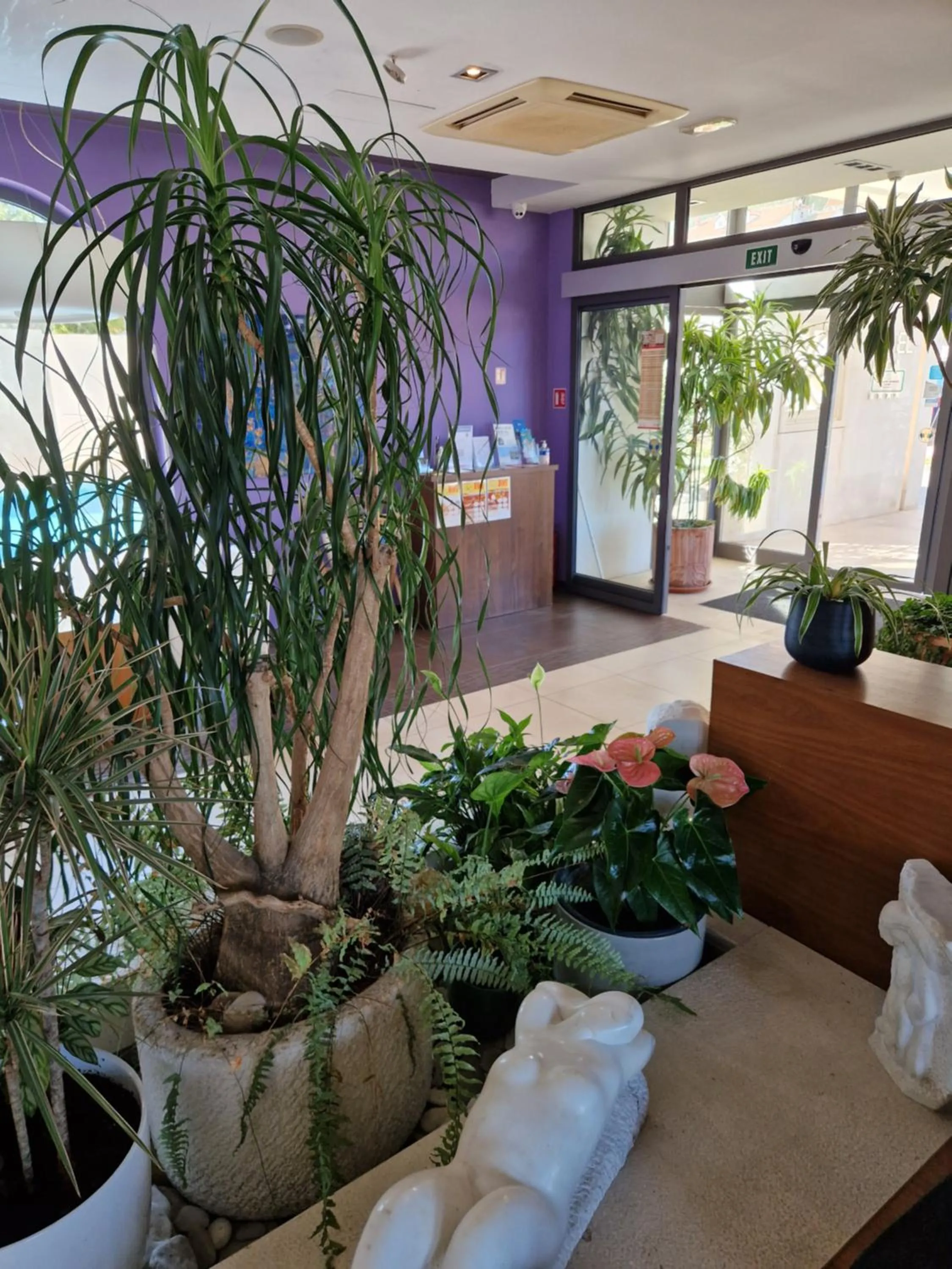 Lobby or reception in Hotel Lipa