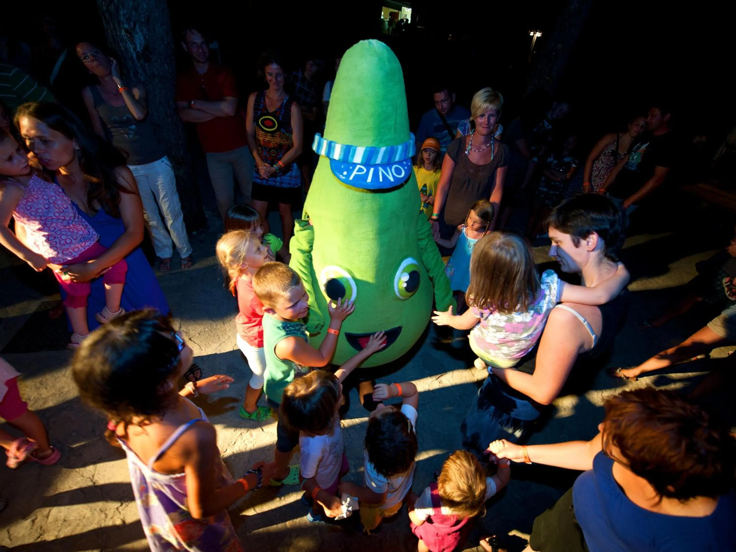 Children play ground in Pine Beach Pakostane - All Inclusive light