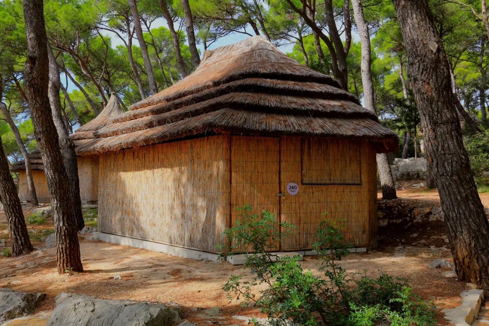 Natural landscape in Pine Beach Pakostane - All Inclusive light