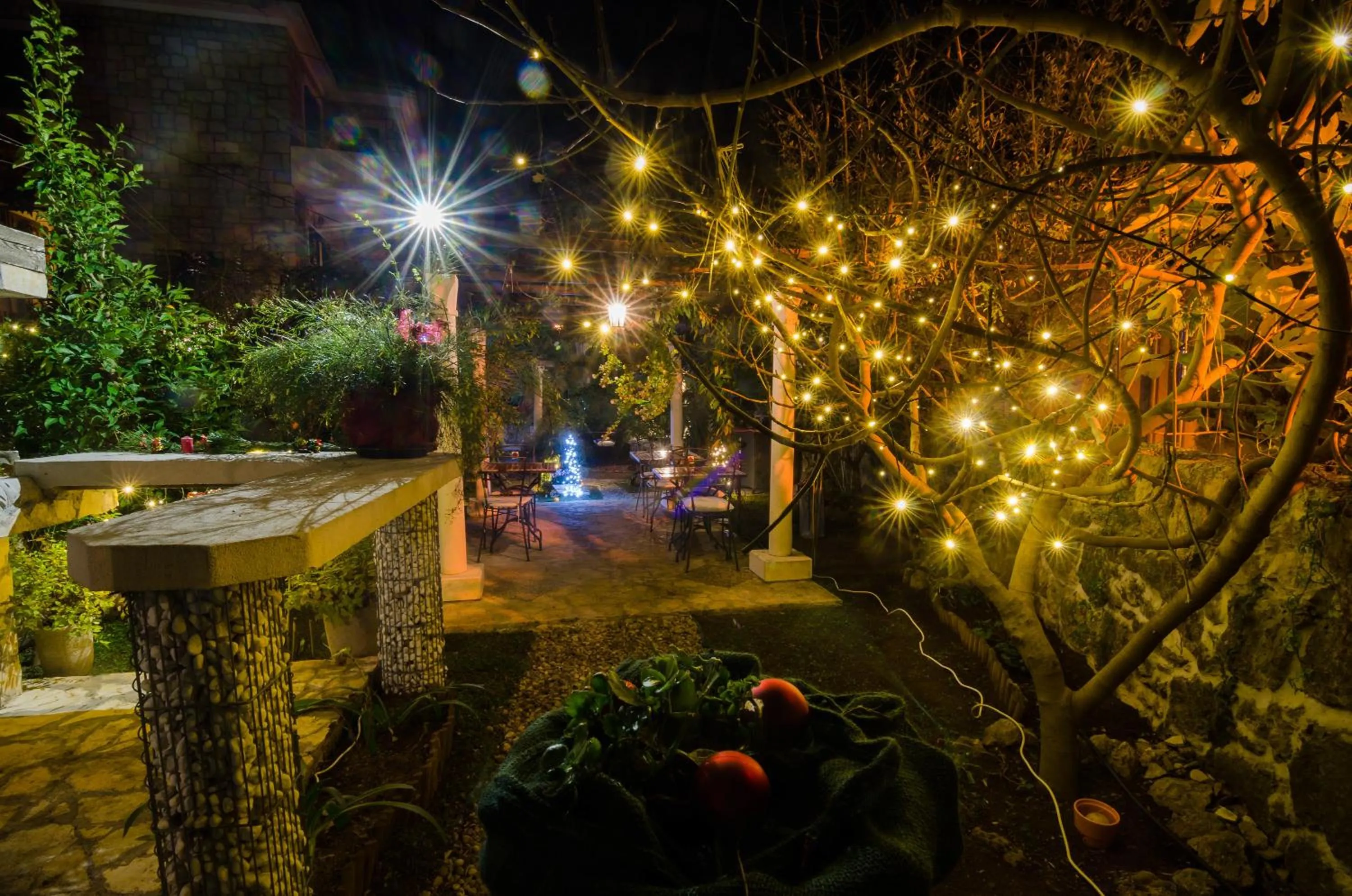 Night in B&B Villa Dubrovnik Garden