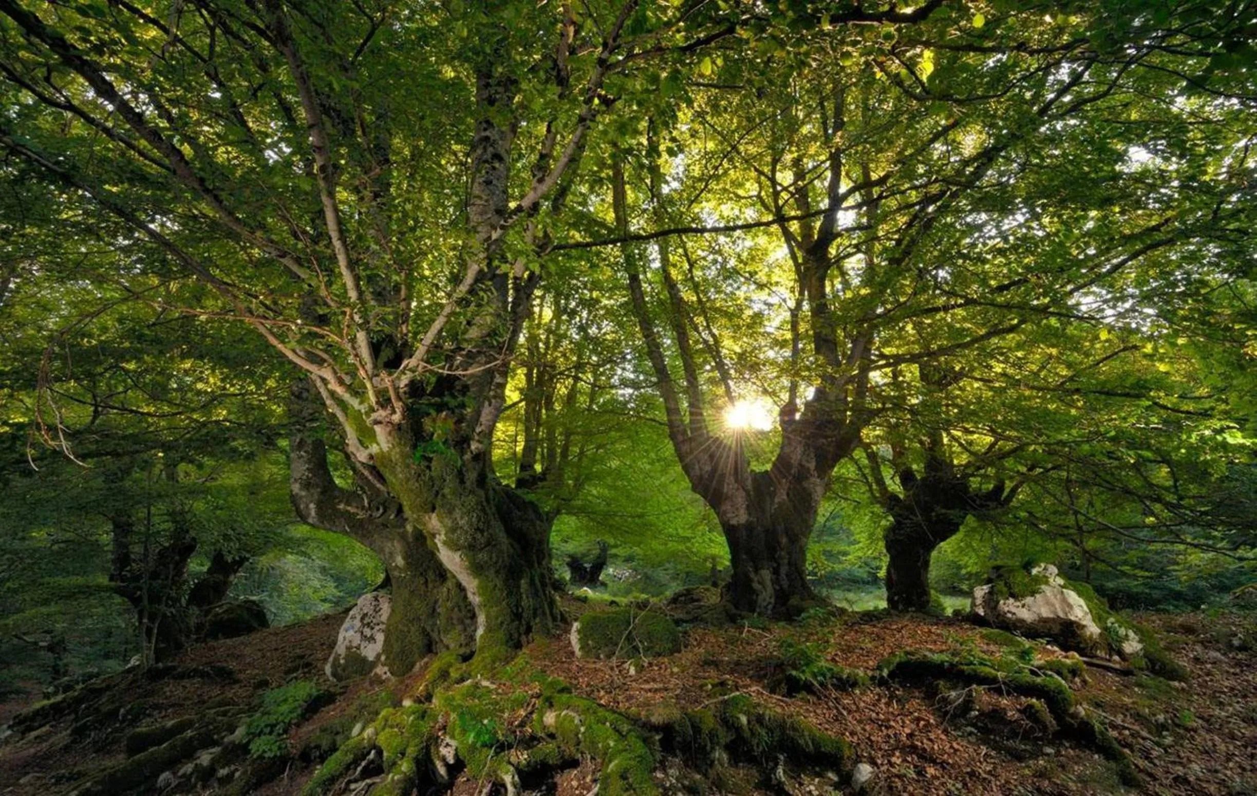 Spring in HOTEL HOLIDAYS a Barrea - Natura, Relax e Benessere nel Parco d'Abruzzo